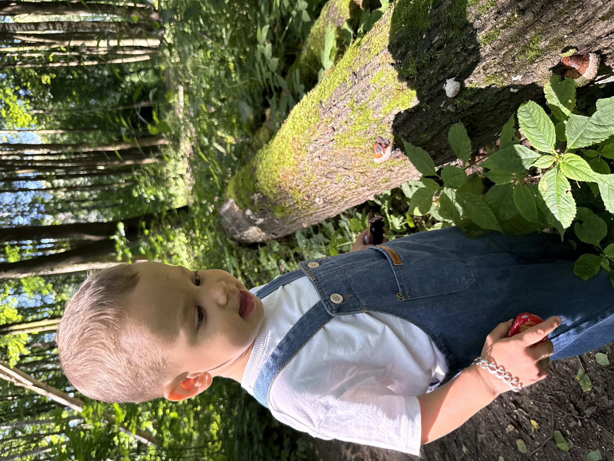 A young Caucasian boy with short, light brown hair, wearing a white t-shirt and blue denim overalls, stands in a forest setting. He is looking down at a moss-covered, fallen tree trunk that spans across the frame. The boy is holding a small red toy in his right hand, which is adorned with a silver bracelet. On the tree trunk, several mushrooms are visible. The environment is lush and green, with a dense forest backdrop and sunlight filtering through the trees. The scene appears to be located in Rusanovo, Russia, as indicated by the provided information.