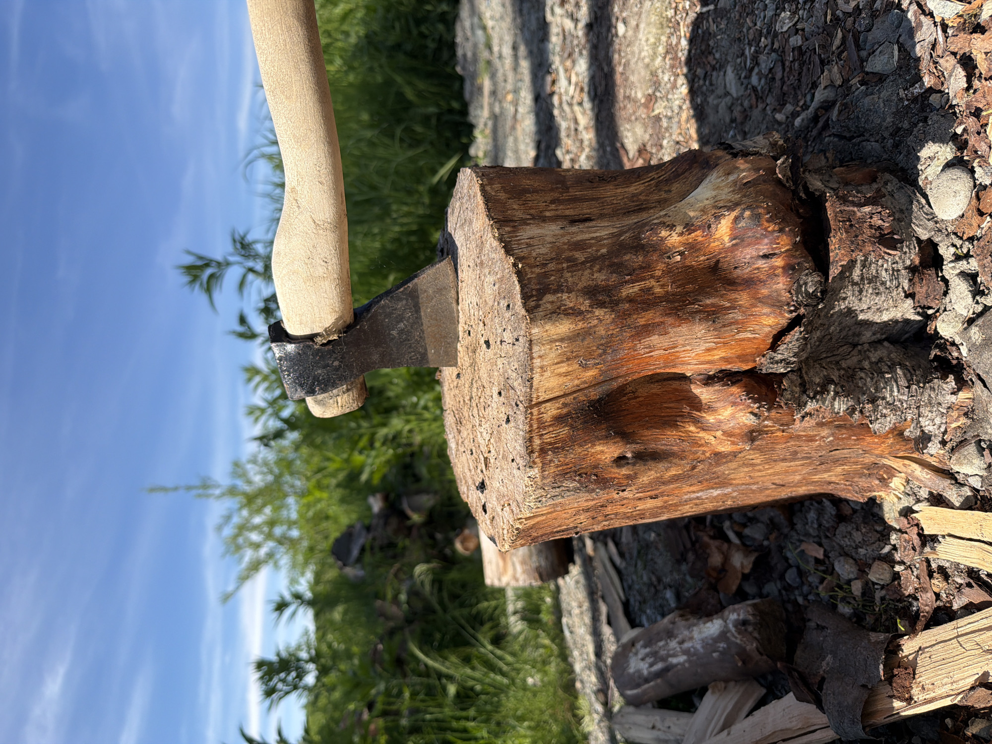 The image shows an axe embedded in a tree stump outdoors. The axe has a metal head and a wooden handle. The stump is made of dark brown wood with visible grain. In the background, there is green foliage and a blue sky with some wispy clouds. The ground around the stump is covered with small stones and wood chips. There are also other pieces of wood visible in the foreground. The overall scene suggests a rural or natural setting, likely in a location where wood chopping occurs. The image does not contain any information that can be used to identify the specific location within the city of Новый, Russia, or any other specific geographical details. There are no people visible in the image.