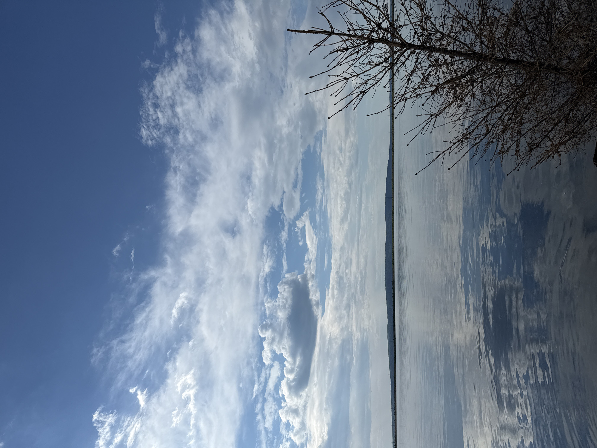 This is a vertical, medium-shot, outdoor, daytime photograph of a lake with a distant, tree-lined shore under a cloudy blue sky. A bare, deciduous tree branch fills the right side of the frame, its dark, intricate network of twigs and branches contrasting with the softer textures of the clouds and water. The lake's surface is calm, reflecting the sky and clouds with a glossy sheen. The distant shore is a dark, low-lying band of land, possibly covered in trees, stretching across the horizon. The sky is a vibrant blue, with scattered white and gray clouds, some wispy and elongated, others more bulbous and dense. The overall impression is one of natural tranquility and expansive sky. There are no people or animals visible in the image. The location is identified as the Kama River near Chaikovsky, Russia.