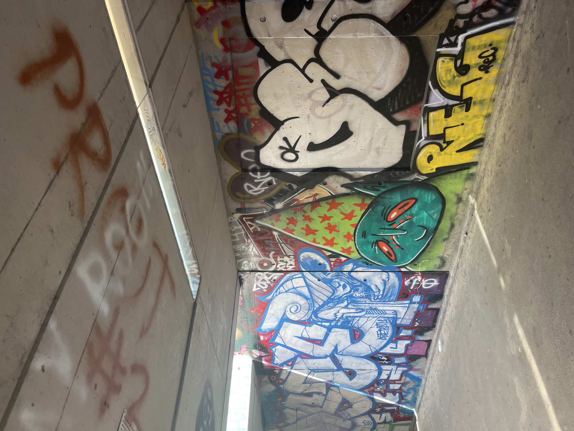 The image shows a graffiti-covered underpass in Geneva, Switzerland. The walls and ceiling of the underpass are extensively decorated with spray-painted art, primarily in vibrant colors. On the left wall, large blue and white graffiti letters are prominent, with intricate designs and a blue character resembling a horned creature. To the right of this, a green character with red eyes and a wide grin, adorned with a red star-patterned hat, is depicted. Further to the right, a large, puffy white graffiti piece with black outlines is visible, featuring a smiley face with an "OK" symbol. Below this, a bright yellow graffiti tag reads "REG". The ceiling also bears graffiti marks in red and white spray paint. The ground is concrete, with patches of sunlight and shadow indicating an outdoor or semi-outdoor setting. There are no people visible in the image.