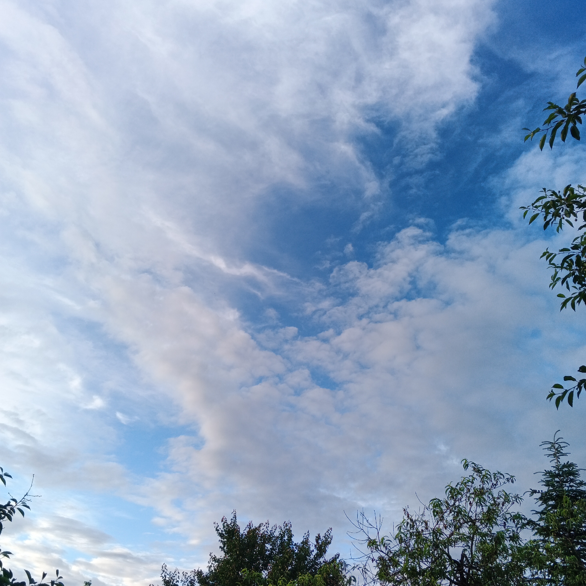 The image displays a sky filled with wispy white clouds against a backdrop of deep blue. The lower portion of the frame is partially obscured by the tops of trees. The scene appears to be an outdoor environment, possibly a park or a residential area in the city of Smila, Ukraine, given the context provided. There are no people or specific actions visible in the image. The overall impression is a calm, natural setting.