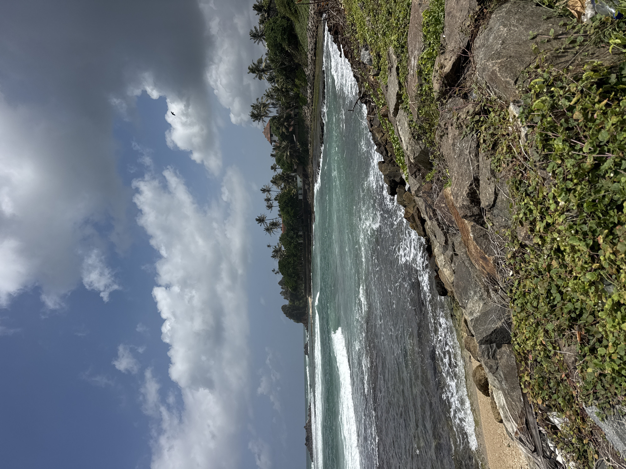 The image depicts a coastal scene in Goviyapana, Sri Lanka. In the foreground, large, dark rocks are covered with lush green vegetation, extending to the edge of a sandy beach. The ocean features turquoise water with white-capped waves breaking near the shore. Beyond the water, a line of palm trees and dense foliage is visible, with a building peeking through the trees in the distance. The sky above is a mix of blue and grey clouds, with a lone bird soaring in the upper right quadrant. The overall impression is that of a tropical, natural landscape with a hint of human habitation.