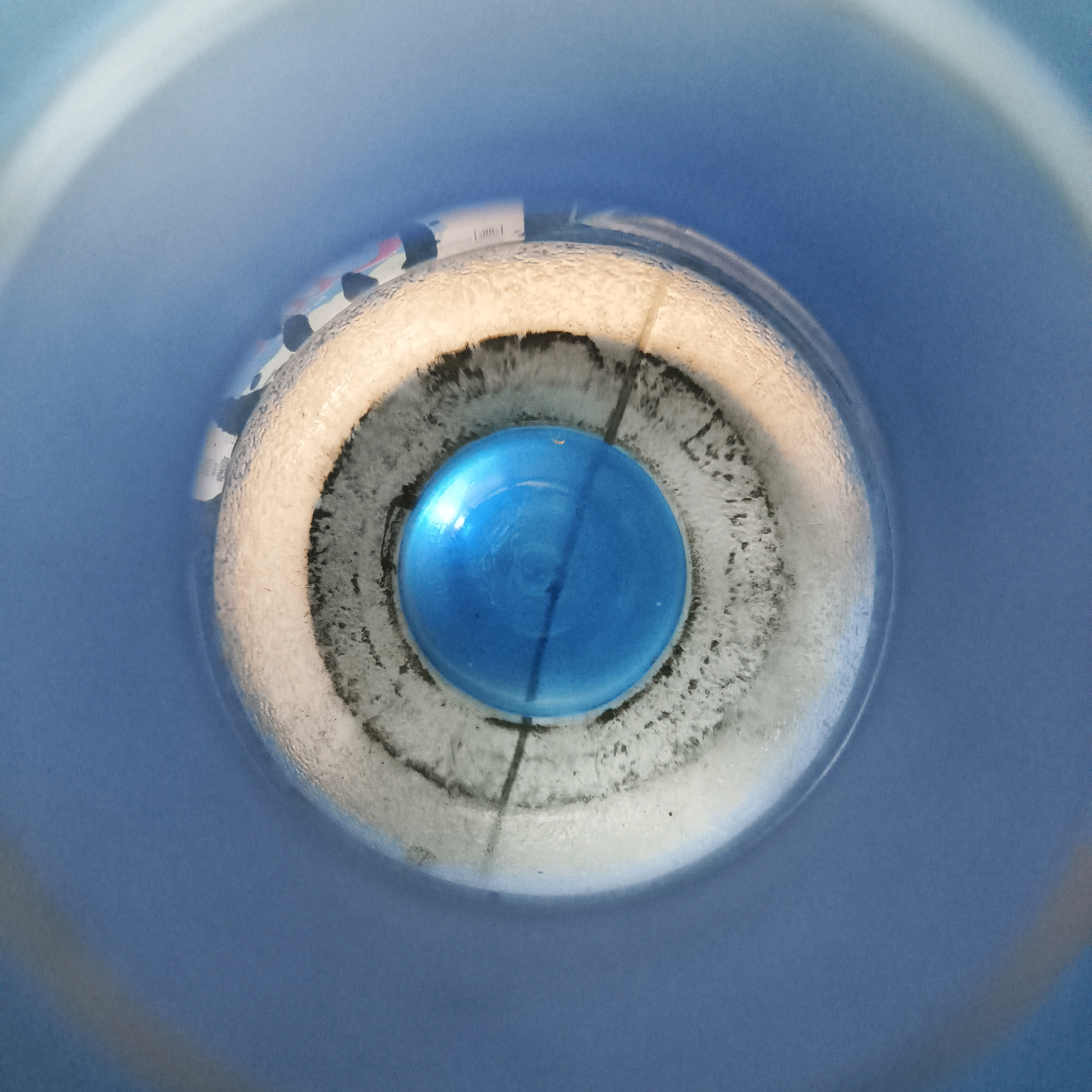 This is a top-down, close-up, abstract photograph of the inside of a blue plastic container. The container's interior wall is a smooth, matte blue. In the center of the image is a bright, glossy blue cap, possibly from a bottle. Surrounding the cap is a textured, off-white material with dark, gritty patches, which appears to be the rim of a bottle or container that has been subjected to wear or contamination. Within this textured rim, faint, multi-colored horizontal bands of print are visible, suggesting a label on an object submerged within the container. The overall impression is one of an abstract, almost microscopic view of a domestic or industrial setting, possibly a water cooler or a large container holding various items. The image does not provide any specific visual cues to pinpoint its location within Pelemwatu, Indonesia.