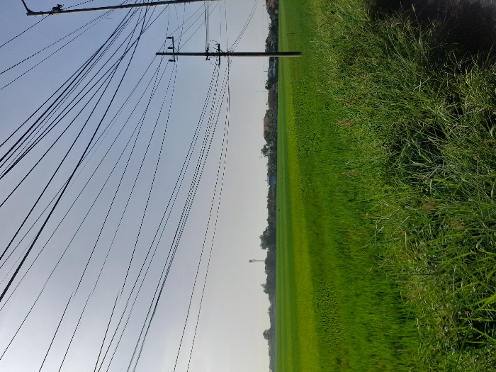 A vibrant green field stretches horizontally, juxtaposed against a pale blue sky filled with a chaotic network of black power lines and utility poles. The field's texture varies from neatly trimmed grass in the center to wild, overgrown patches along the edge. A distant structure appears faint on the horizon, adding depth to the landscape dominated by the electric cables.