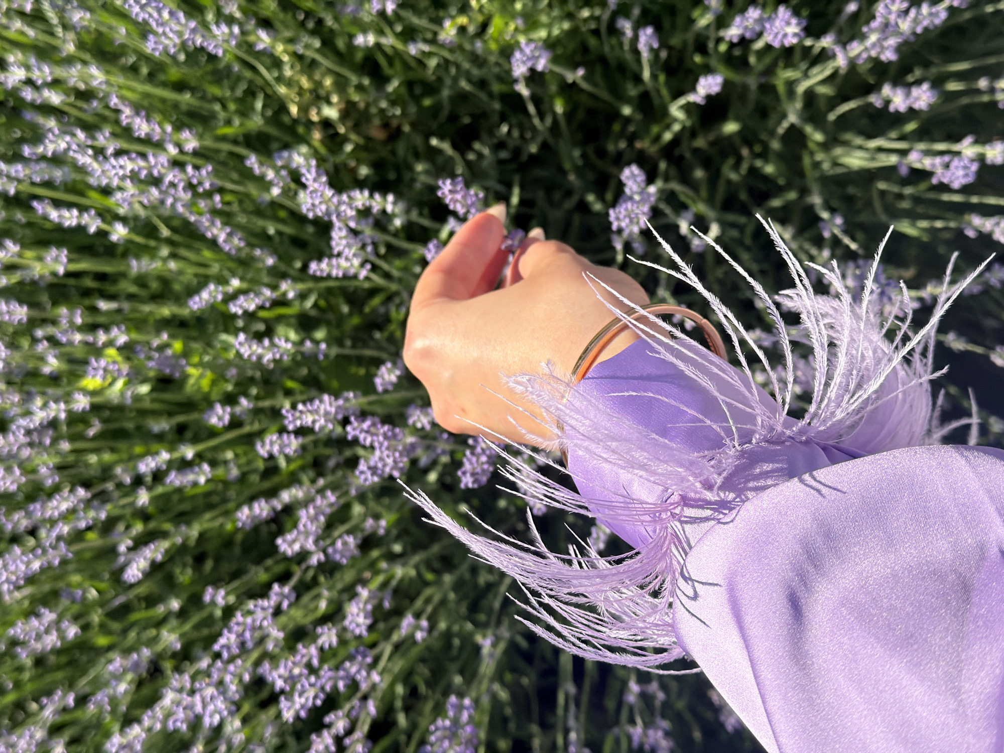 A close-up shot focuses on a person's left hand and arm, adorned with a purple, feathery cuff on their sleeve. The hand is delicately touching a sprig of lavender, with fingers gently brushing against the purple blossoms. The background is filled with a dense field of lavender plants, their purple flowers and green stems creating a soft-focus, natural backdrop. The lighting suggests it is daytime, with sunlight illuminating the scene.
