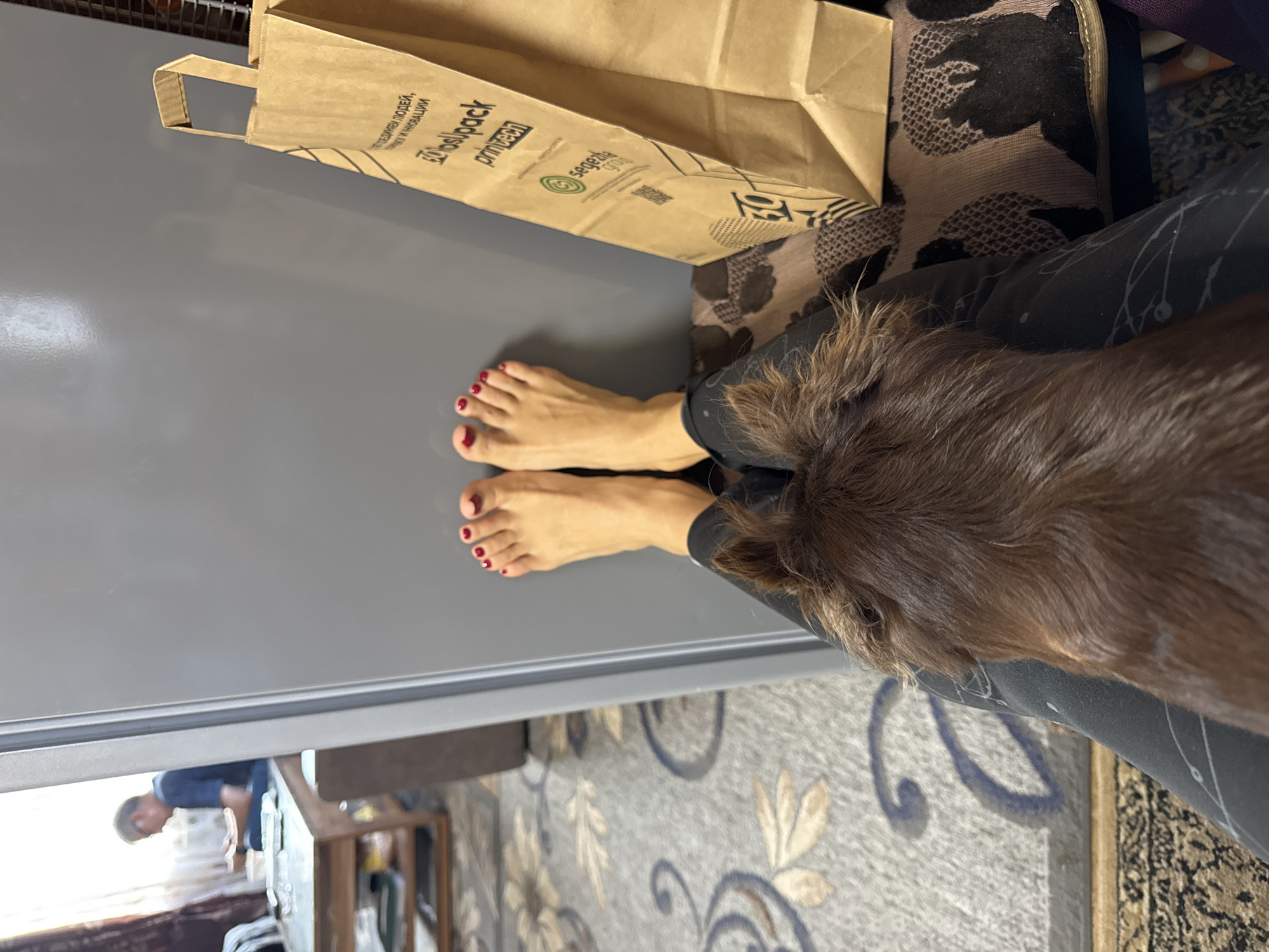 In Старое Михайловское, Russia, a person's bare feet, adorned with red nail polish, rest against a grey refrigerator door. A brown dog is nestled on the person's lap, its head facing away from the camera. To the right, a brown paper bag with text and logos stands upright. In the background, a man in a blue shirt and glasses sits at a wooden table, looking down. The room features a patterned carpet and a furniture item, possibly a sofa, partially visible.