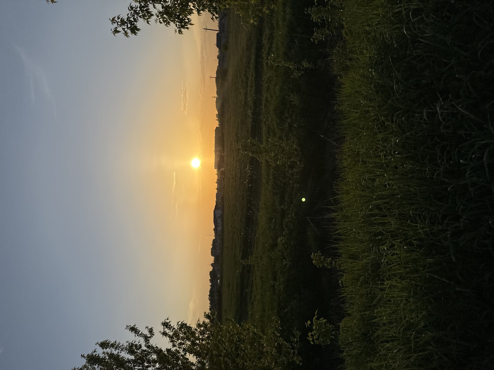 A slightly rotated landscape image captures the sunset in Горный, Russia. The sun, a bright circular orb, sits low on the horizon, casting a warm, golden glow across the sky and landscape. The sky fades from a pale blue at the top to a vibrant orange near the horizon. The landscape consists of a field of tall, green grass that extends towards the horizon. A few buildings and utility poles are silhouetted against the sky. Some trees frame the bottom of the image. The grass in the foreground is darker due to shadows.