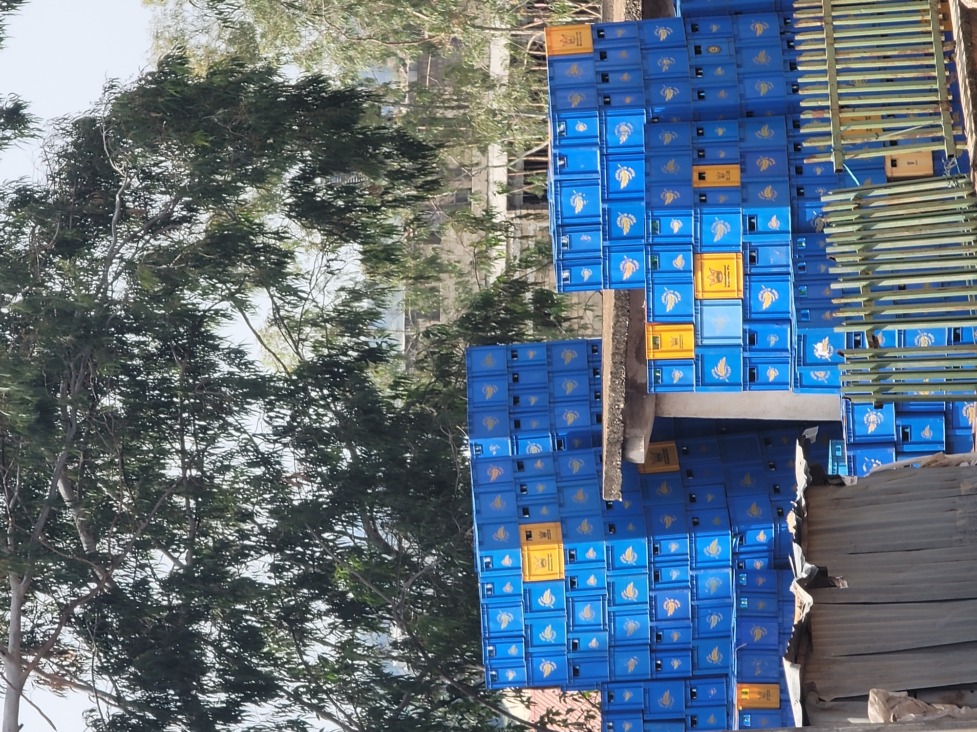 The image shows a large outdoor storage area filled with stacks of blue plastic crates, many of which have a yellow logo featuring a crown and wings. Some of the crates are yellow and have a similar logo. These crates appear to be used for holding beverage bottles. In the background, there are buildings constructed with concrete blocks and some vegetation, including large trees with sparse foliage. A corrugated metal structure and a green metal fence are visible in the foreground, partially obscuring the stacks of crates. The scene is located in Gura Top, Nigeria. There are no people visible in the image, and the environment appears to be an industrial or storage yard.