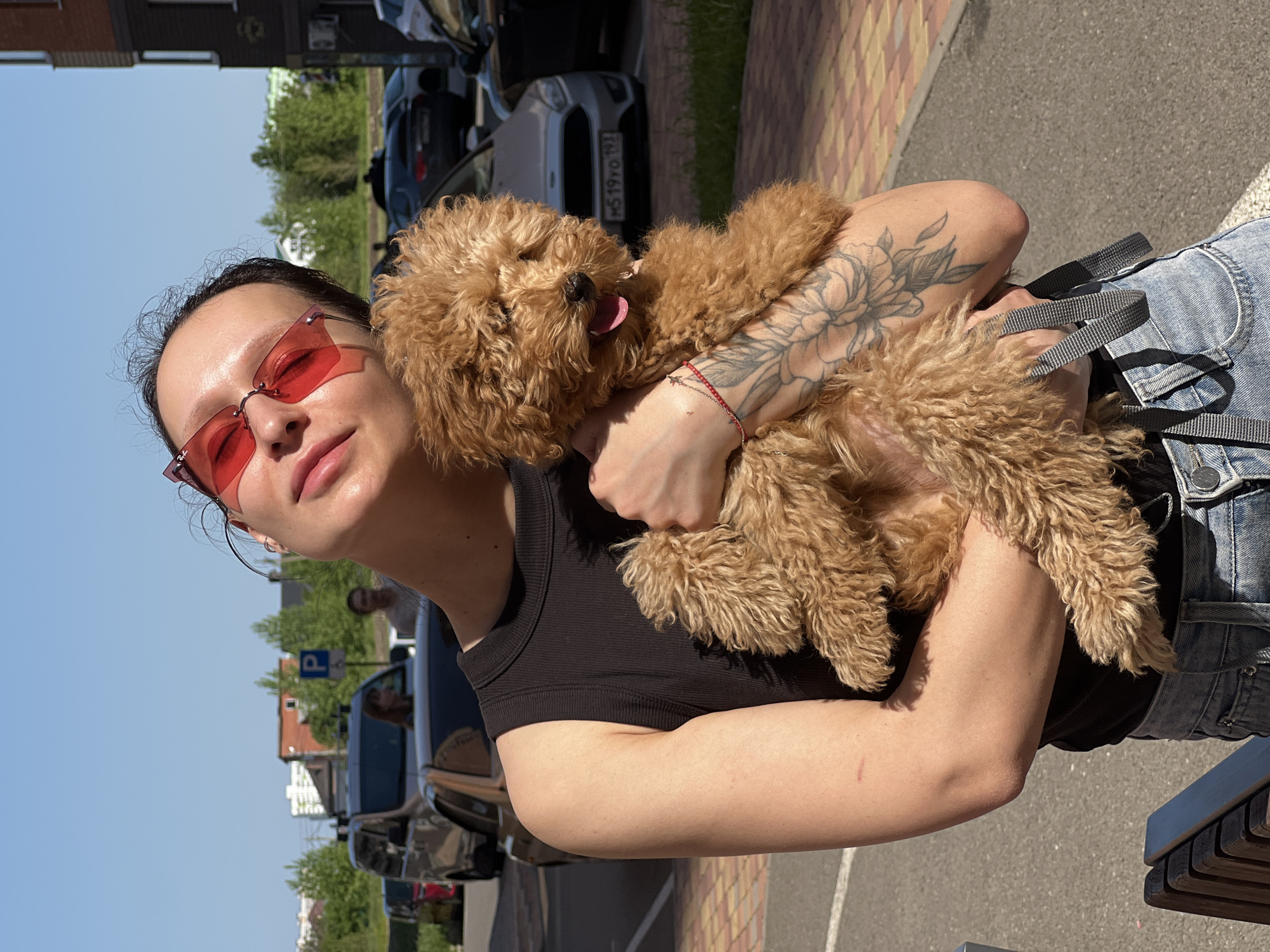 A young adult female wearing red-tinted sunglasses and a black top is holding a small, apricot-colored poodle. The female has a floral tattoo on her upper arm and a thin red bracelet on her wrist. The dog has its tongue sticking out. The background shows a street scene with cars, buildings, and street signs. The license plate of one of the cars is partially visible, reading "H519TO 193". Based on this license plate information, the location is identified as Krasnodar, Russia. The woman and the dog are located in a parking lot or a pedestrian area next to a street. The scene is bathed in bright sunlight, suggesting a daytime setting.