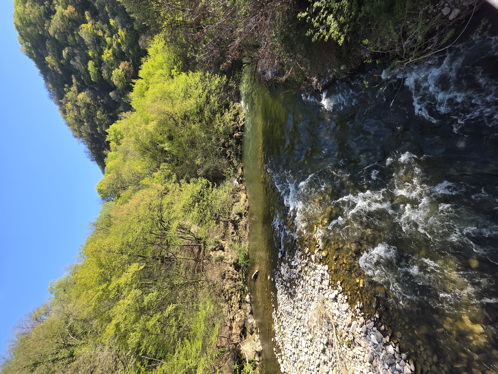 The image shows a view of a river in the vicinity of Бачковски манастир, Bulgaria. The river flows between banks covered with trees and vegetation. The water is turbulent in some sections, creating white foam. The riverbed is visible with rocks and pebbles. A hill covered with forest is visible on one side under a clear blue sky.