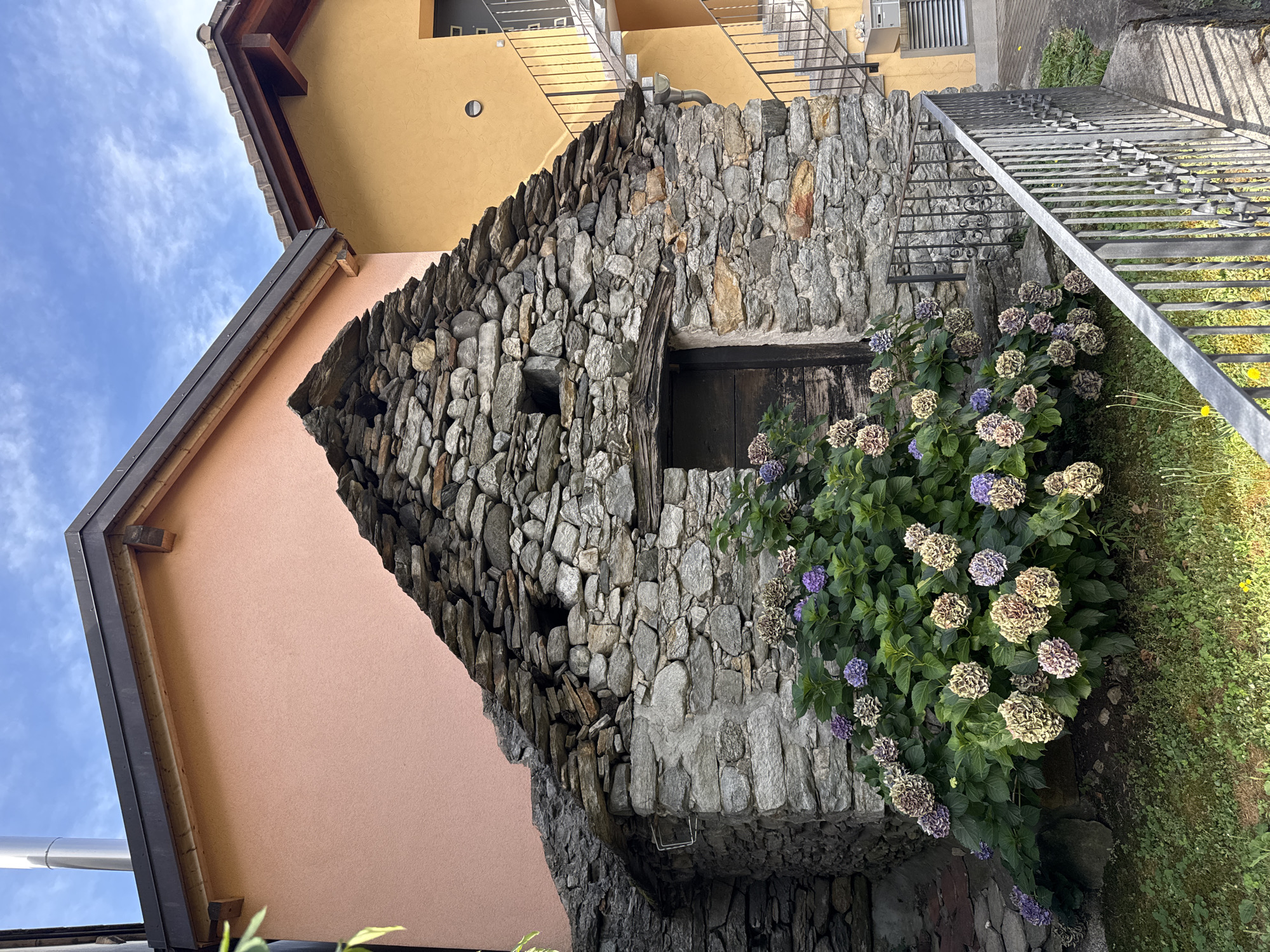 The image shows a rustic stone building with a steep, uneven roof made of flat stones. Adjacent to it is a building with a pink facade and another with a yellow facade, featuring an external staircase. In front of the stone building is a lush hydrangea bush with clusters of flowers in various shades of purple, blue, and dried beige. A metal fence with decorative scrollwork runs along the right side of the scene, bordering a paved area and steps leading upwards. The sky above is blue with scattered white clouds. The scene appears to be in a residential area, possibly in the historic part of Bellinzona, Switzerland, given the architectural style. There are no people visible in the image.