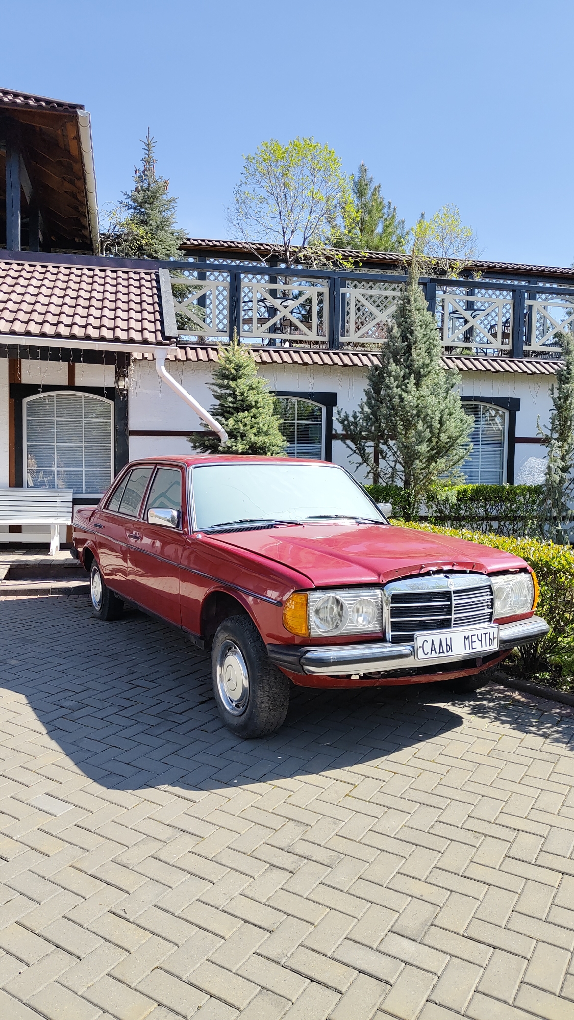 A red Mercedes-Benz sedan is parked on a brick-paved area in front of a building. The building has a white facade with dark trim around windows and a brown tiled roof. On the building's second story is a decorative railing. Evergreen trees are visible around the building and behind the car. The license plate on the car reads "САДЫ МЕЧТЫ," translating to "Gardens of Dreams." The location is likely Krasnoyarsk, Russia, based on the Cyrillic script on the license plate. The sky is clear and blue. There is a white bench visible next to the building on the left side of the image.