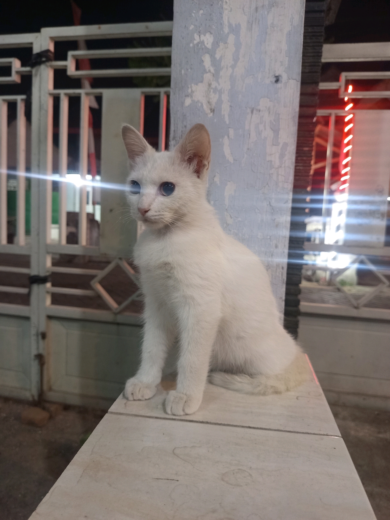 An all-white cat with striking blue eyes is perched on a tiled surface, facing left and looking slightly upward. The cat is the primary subject, positioned in the right half of the frame. Behind the cat, a white painted pole with peeling paint is visible, and further back, a metal gate with horizontal bars is present. The background is dimly lit, suggesting it is nighttime. Red and white lights are visible in the distance, and a light glare streaks across the image from the right. The setting appears to be outdoors, possibly in a residential area or alleyway. Based on the context of the location being Ngastemi, Indonesia, this scene depicts an outdoor environment within that region at night.