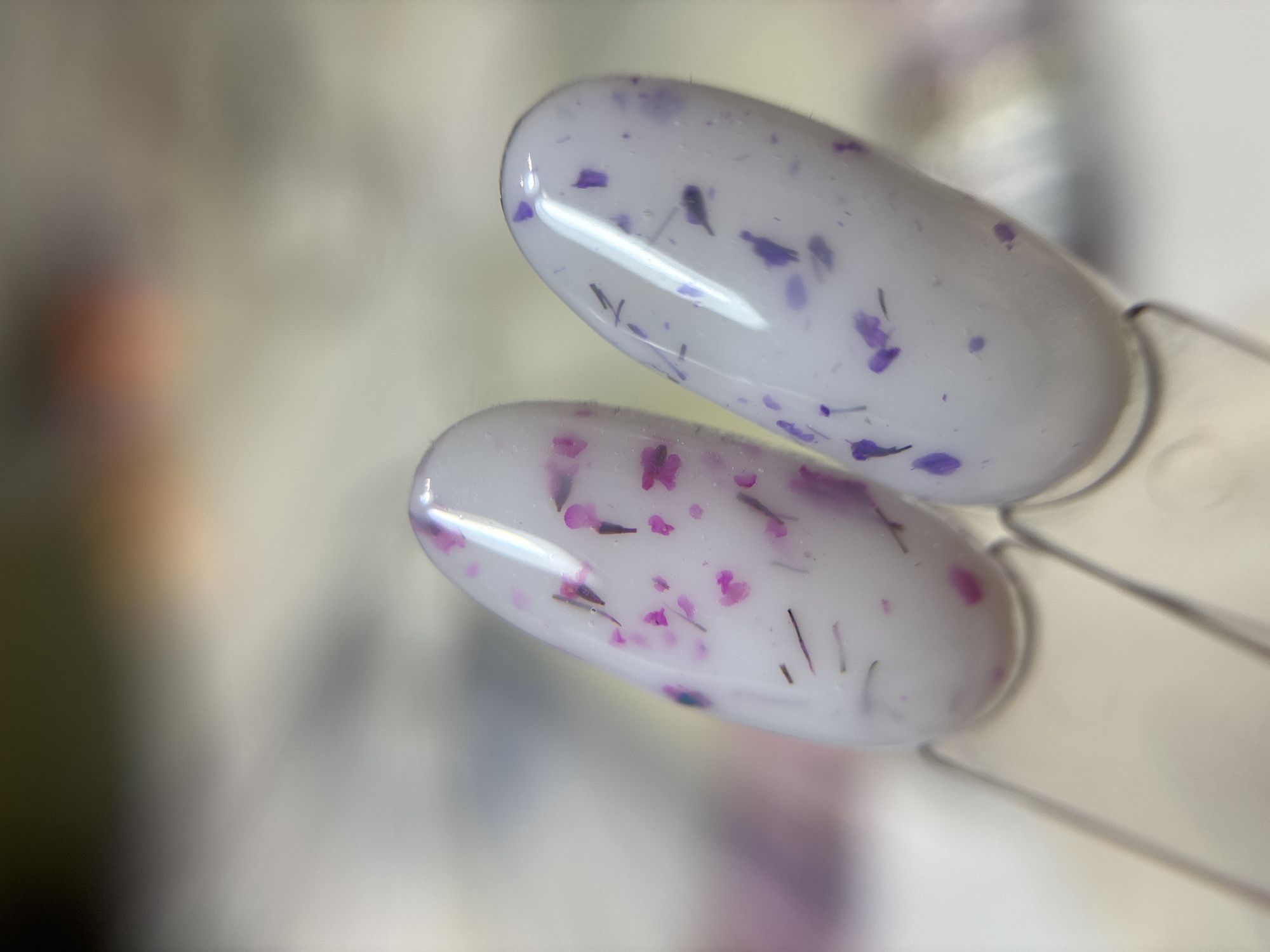 A close-up, high-angle view displays two artificial nail tips, each attached to a clear plastic swatch holder, against a blurred, light-toned background. The left nail tip is oval-shaped and coated in a glossy, milky white substance, infused with numerous small, irregularly shaped magenta/pink fragments and fine, dark brown/black fibrous particles. The right nail tip, positioned adjacent, is similarly oval-shaped and covered in a glossy, milky white substance, infused with numerous small, irregularly shaped purple/lavender fragments and fine, dark brown/black fibrous particles. Both tips exhibit surface reflections consistent with a light source from above. The scene is located in the city of Ферма, Russia.