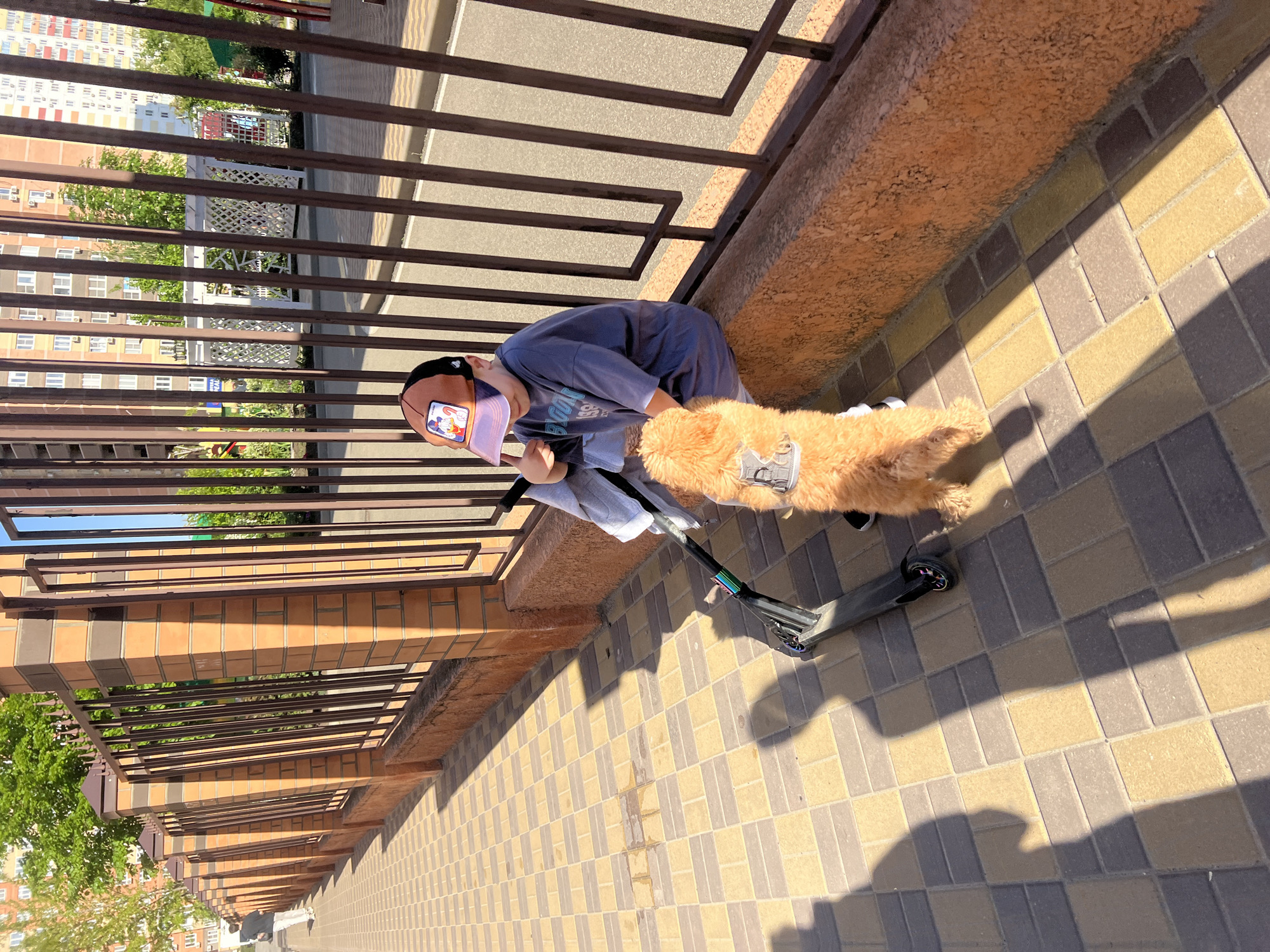 A person wearing a brown and purple cap and a blue t-shirt is crouched near a brick wall and a dark brown metal railing, next to a tan dog with a white bag attached to its harness. The person appears to be fixing or adjusting a black scooter. The scene is set on a sidewalk paved with beige and brown interlocking blocks. Tall apartment buildings are visible in the background through the railing. The image was taken in Krasnodar, Russia.