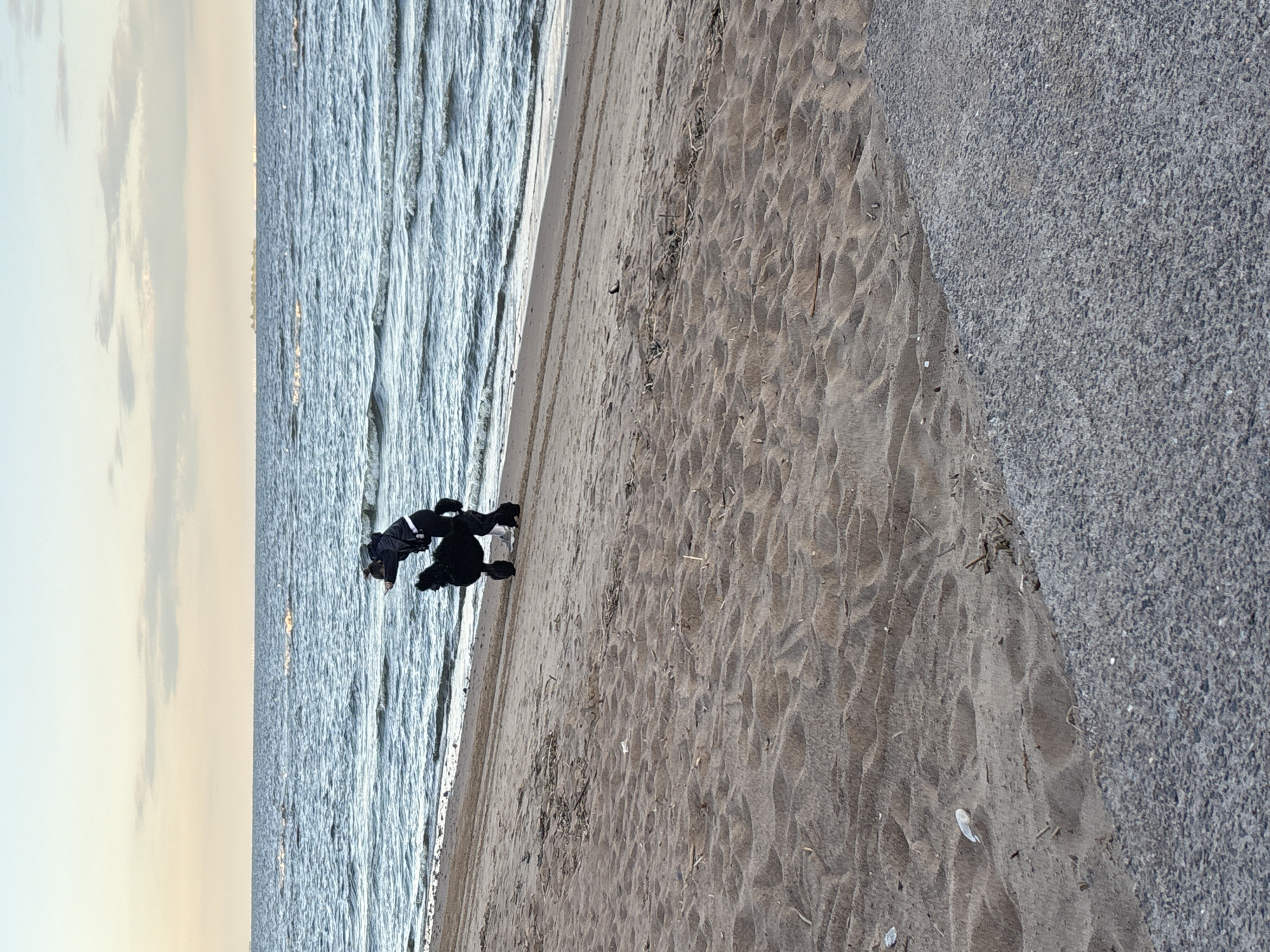 A person dressed in black, with a black backpack, stands on a sandy beach next to a black poodle. The person is bending over and appears to be interacting with the dog. The dog is also black and has a fluffy, poodle-like appearance. The beach is made of sand and there are some pieces of driftwood and debris scattered on it. The sea is visible in the background, with small waves. The sky is overcast with some patches of lighter clouds. The scene takes place during the day. The location is likely a beach in Repino, Russia, a resort town on the Gulf of Finland known for its sandy beaches and pine forests.