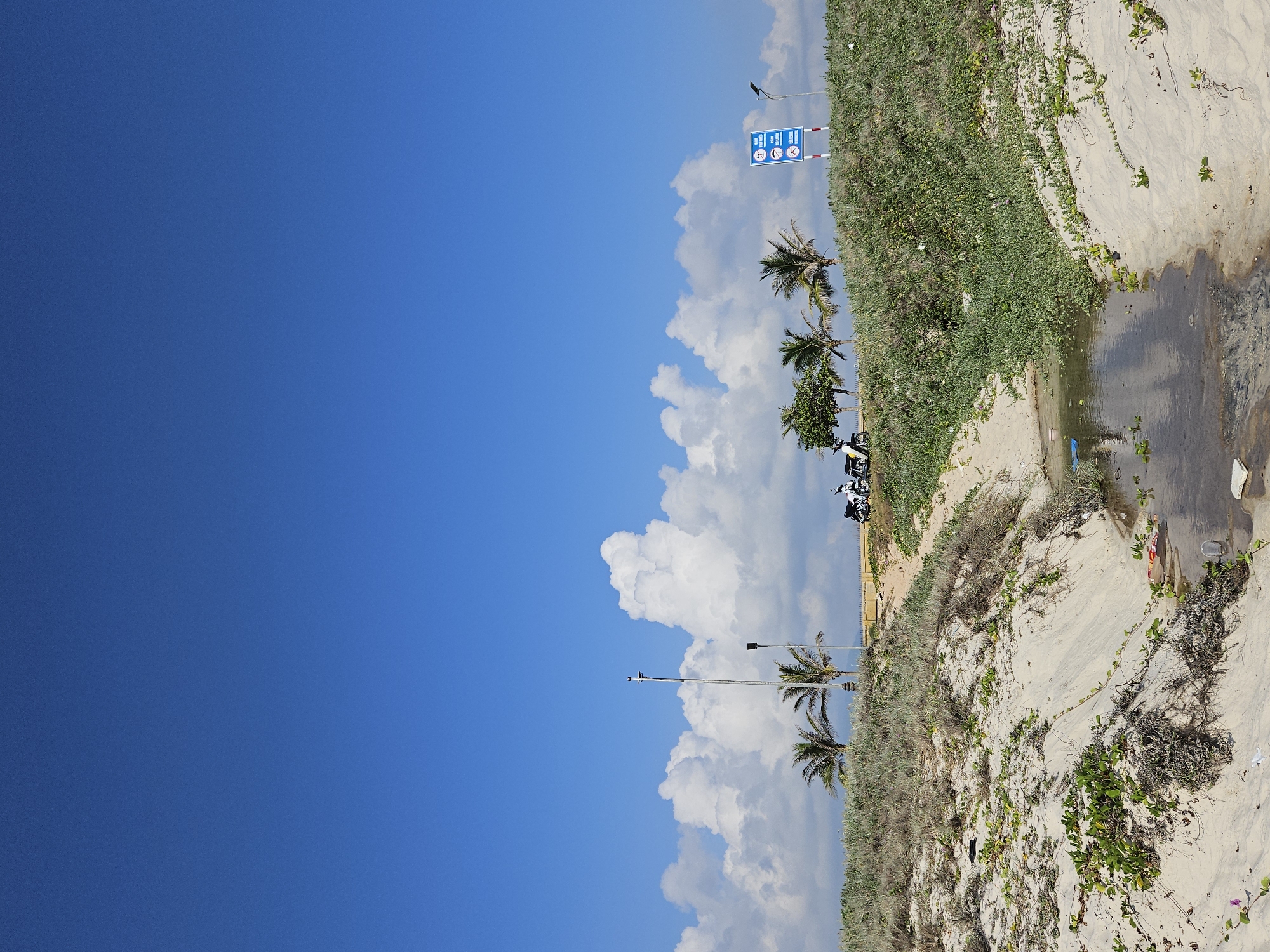 The image depicts a coastal scene in Bac Cam Ranh Ward, Vietnam, under a bright blue sky with scattered white clouds. The right side of the image shows a sandy area covered with vegetation, including grassy patches and creeping vines. A small stream or runoff channel runs through the sand, with visible plant life along the edges. A few palm trees are seen along the edge of the vegetated area. Several parked motorbikes are visible. A blue sign with white symbols is seen along the edge of the land.