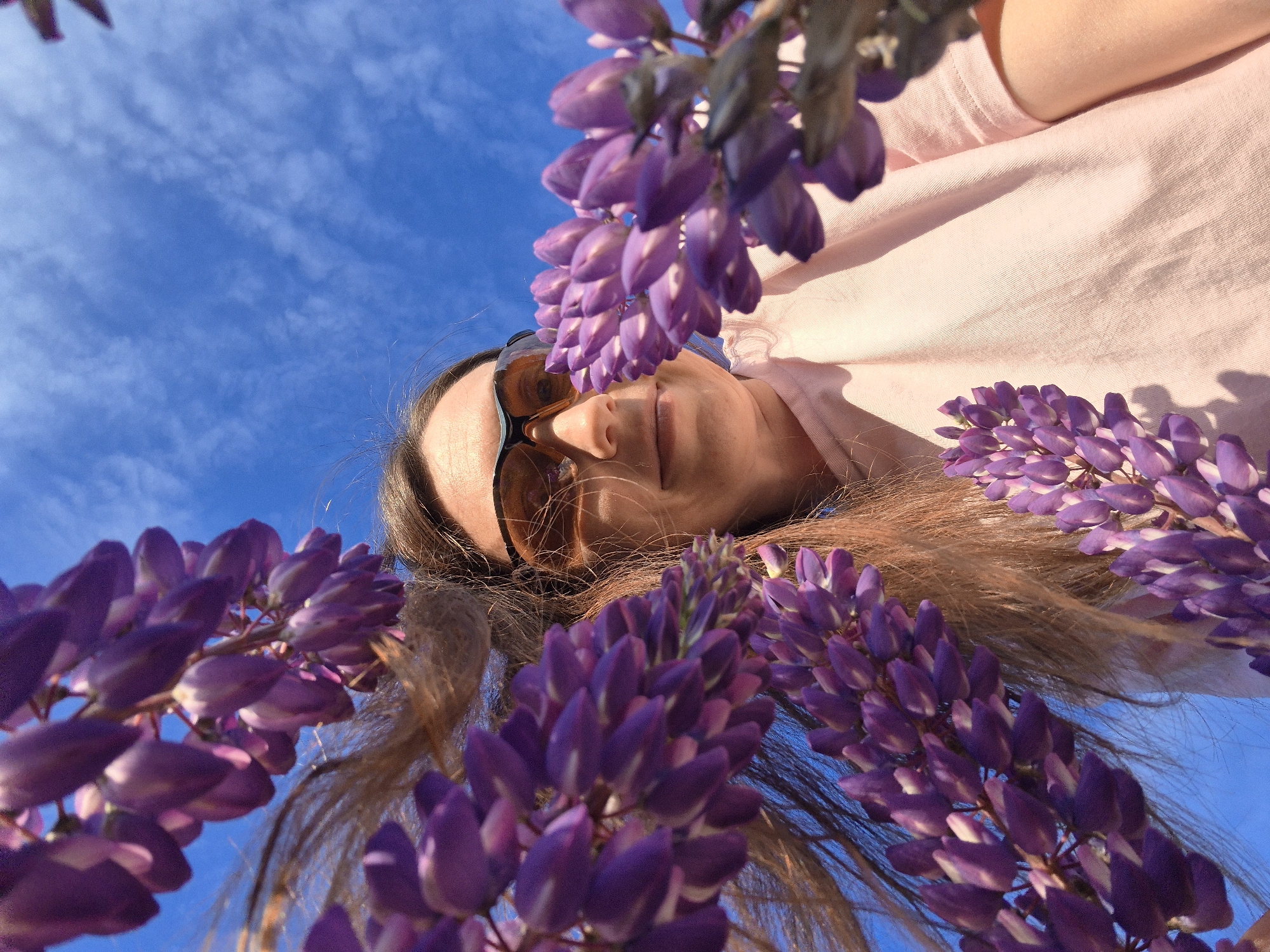 A low-angle outdoor portrait features a Caucasian female, appearing to be in her mid-20s to mid-30s, with long, light brown hair and amber-tinted athletic-style sunglasses. She wears a light pink t-shirt and displays a subtle upward-directed smile. Multiple stalks of dense, vibrant purple lupine flowers are prominent in the immediate foreground, partially framing and obscuring the woman's head and shoulders. The background consists of a clear, bright blue sky with sparse, wispy white clouds, indicating a sunny outdoor environment. The scene is located in the city of Chaikovsky, Russia.
