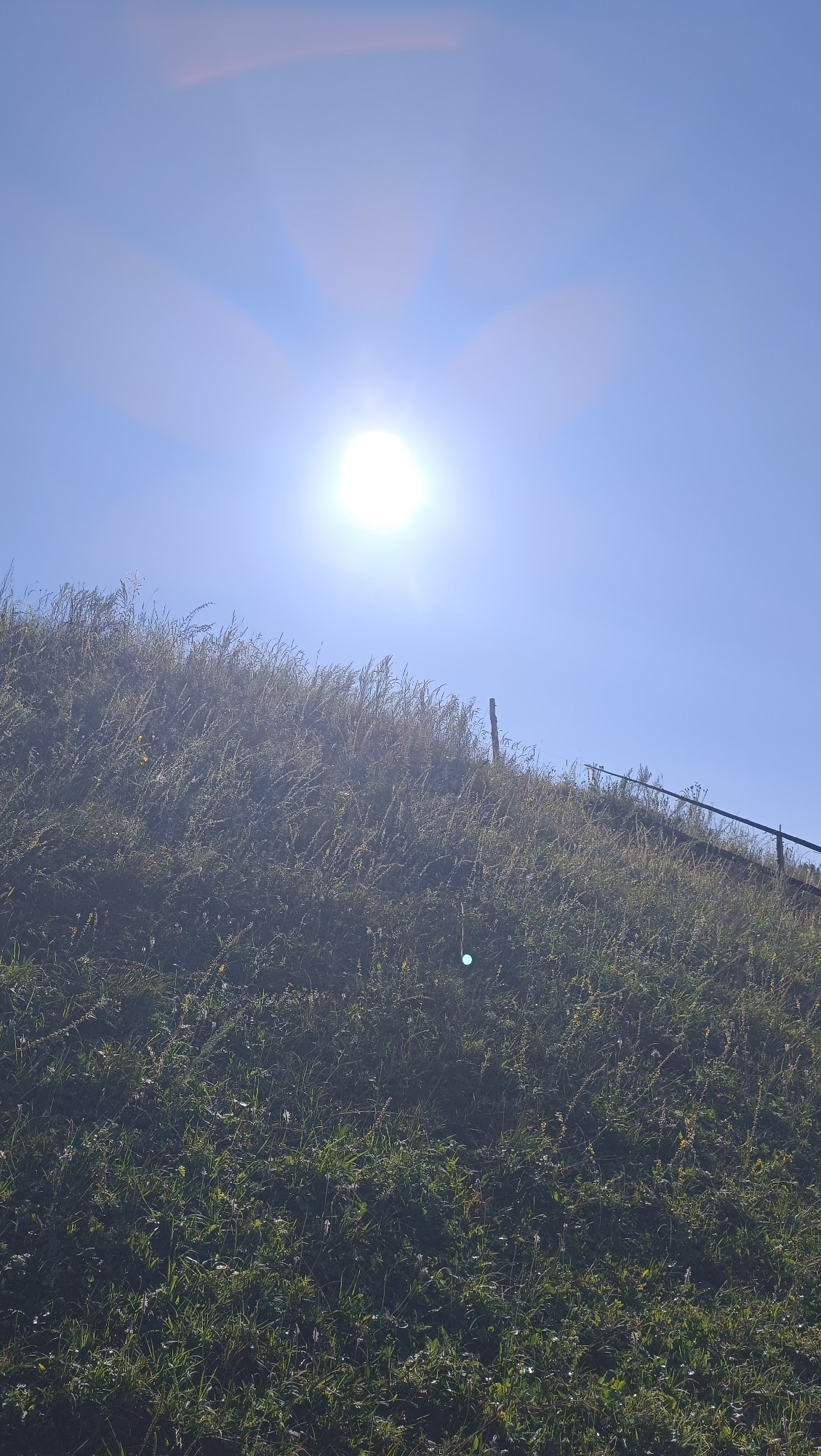 This is a vertical, eye-level, full-shot photograph taken outdoors. The scene depicts a grassy incline under a clear blue sky. The sun is bright and prominent in the upper left quadrant of the frame, creating lens flare and starburst effects. The incline is covered with dense vegetation, primarily tall grasses and some smaller plants, some of which appear to have small yellow or white flowers. A dark wooden fence post is visible on the right side of the incline, and a black railing runs diagonally along the upper right edge of the frame. The lower part of the image shows a close-up view of the grassy ground. There are no people or animals visible in the image. The overall impression is one of a natural, sunlit landscape, possibly a hillside or embankment.