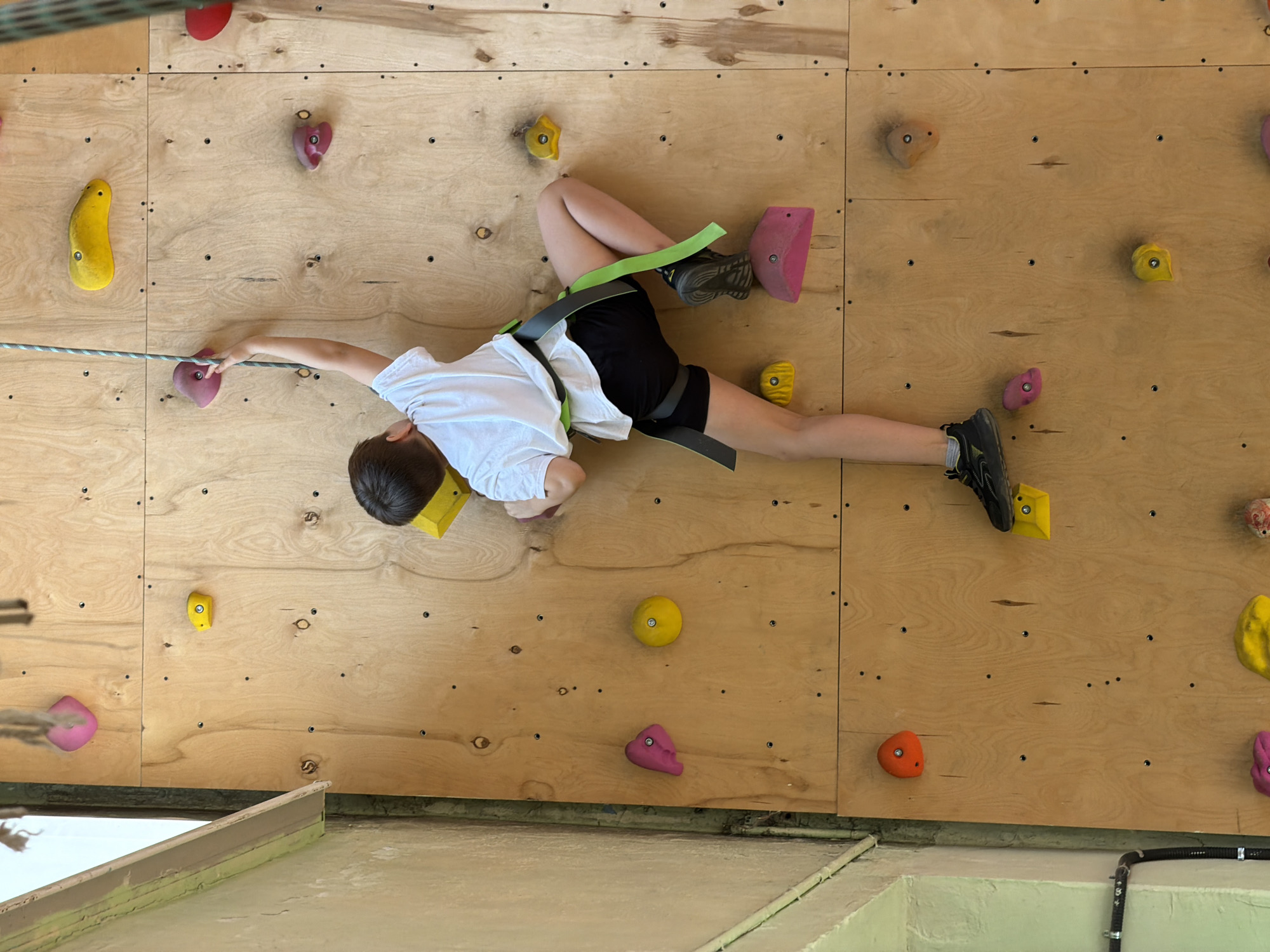 An indoor climbing wall features a child actively engaged in bouldering or roped climbing. The wall is constructed from light-colored wooden panels, with numerous colorful climbing holds attached at various points. The child, appearing to be a young boy, is wearing a white t-shirt, black shorts, and black athletic shoes. He is secured by a climbing harness with green and black straps, and a grey and green rope is visible, extending from the harness to an anchor point off-camera, suggesting he is being belayed.
The child is positioned horizontally across the wall, demonstrating a dynamic climbing movement. His left hand is gripping a pink climbing hold, while his head is turned towards the right, with his right hand likely holding a yellow hold (mostly obscured). His right foot is placed firmly on a prominent pink hold, and his left leg is bent with his foot resting on or near a yellow hold. The focus and effort are evident in his stretched posture.
The climbing holds are varied in shape and color, including yellow, pink, red, and orange, indicating different grip types and difficulty levels. The wooden panels show screw holes where holds can be rearranged. Below the climbing wall, a lower concrete or painted structure is visible, forming the base of the indoor facility. The overall impression is one of a recreational or training environment for rock climbing. No specific text is visible in the image. Based on the provided context, this scene is located in Izhevsk, Russia.