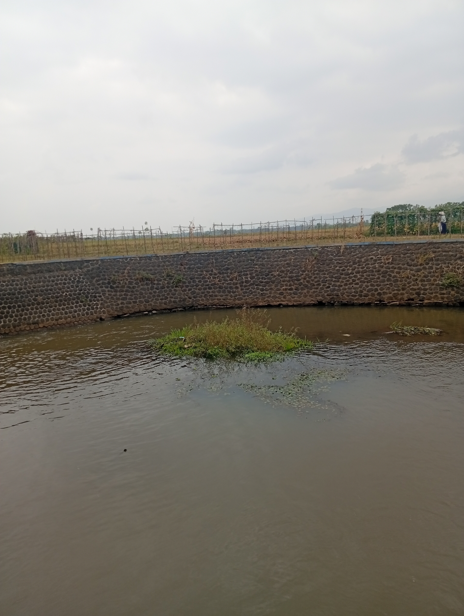 A wide, murky brown river flows in the foreground, with a small island of green vegetation in the center. The riverbank on the right is reinforced with a textured, dark gray stone wall. Beyond the wall, a fence made of thin poles and netting stretches across the middle ground. In the distance, there is a flat landscape with some scattered vegetation and a cloudy sky overhead. On the far right, two figures, one appearing to be wearing a white hat and the other a dark blue garment, stand near a green, vine-covered structure. The overall impression is of a rural or semi-rural setting, possibly near agricultural land.