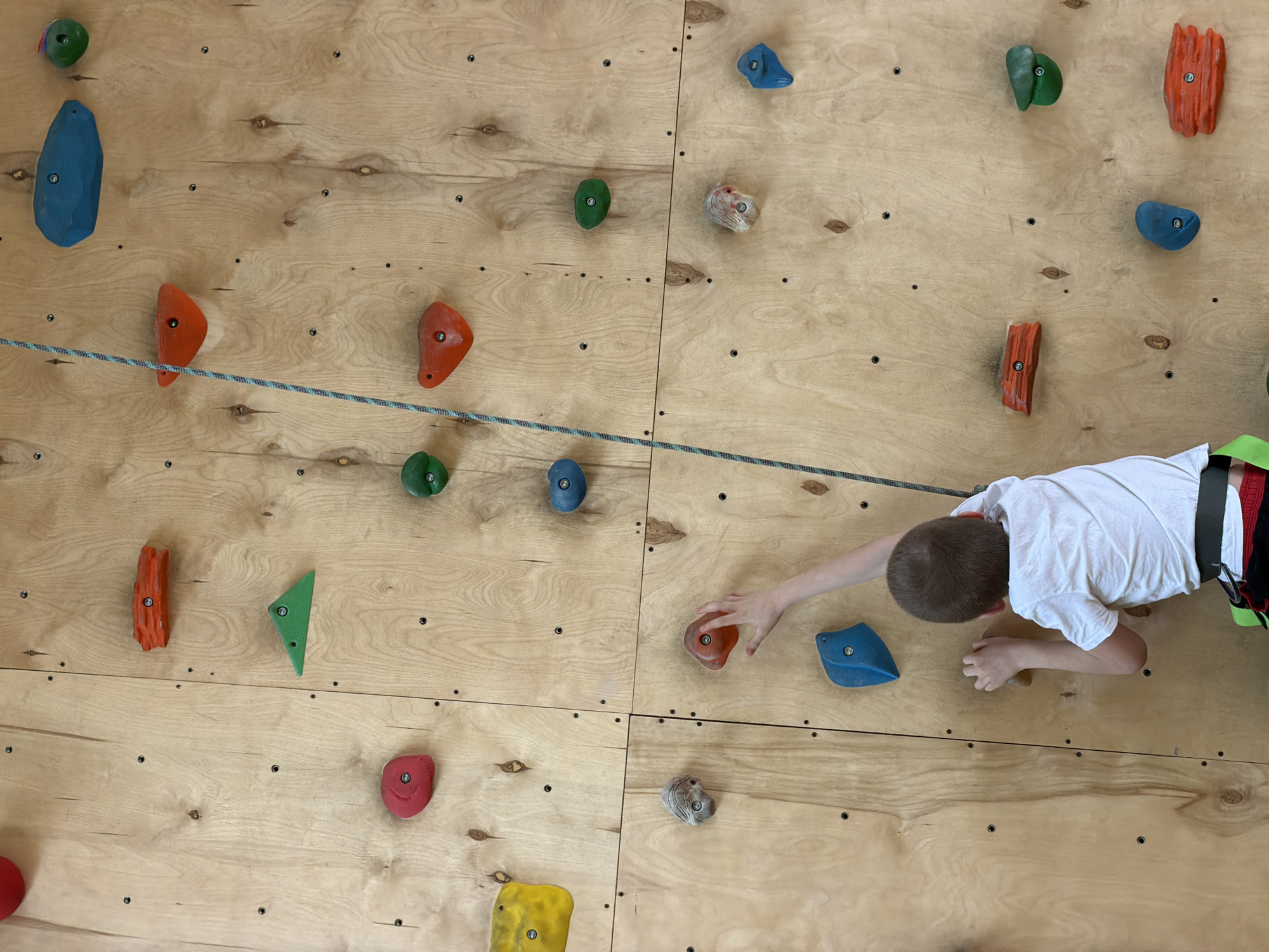 A high-angle shot captures a young boy actively engaged in rock climbing on an indoor wall. The boy, wearing a white t-shirt and a green and black climbing harness, is seen from behind and above, focused on his ascent. His right arm is extended, reaching for a reddish-orange climbing hold, while his left arm is bent, possibly supporting himself on another hold or for balance.
The climbing wall is constructed from light-colored wooden panels, likely plywood, with numerous bolt holes for attaching various climbing holds. Colorful holds of diverse shapes and sizes are scattered across the wall, appearing in shades of green, blue, orange, red, and yellow, along with some natural-colored or grey holds. A safety rope, braided with blue and white strands, runs diagonally through the mid-ground of the image, extending from the boy's harness, indicating he is secured. The setting appears to be an indoor climbing gym or facility, with the wooden texture of the wall being a prominent feature. No visible text is present in the image. The boy's posture suggests concentration and effort in his climbing activity.