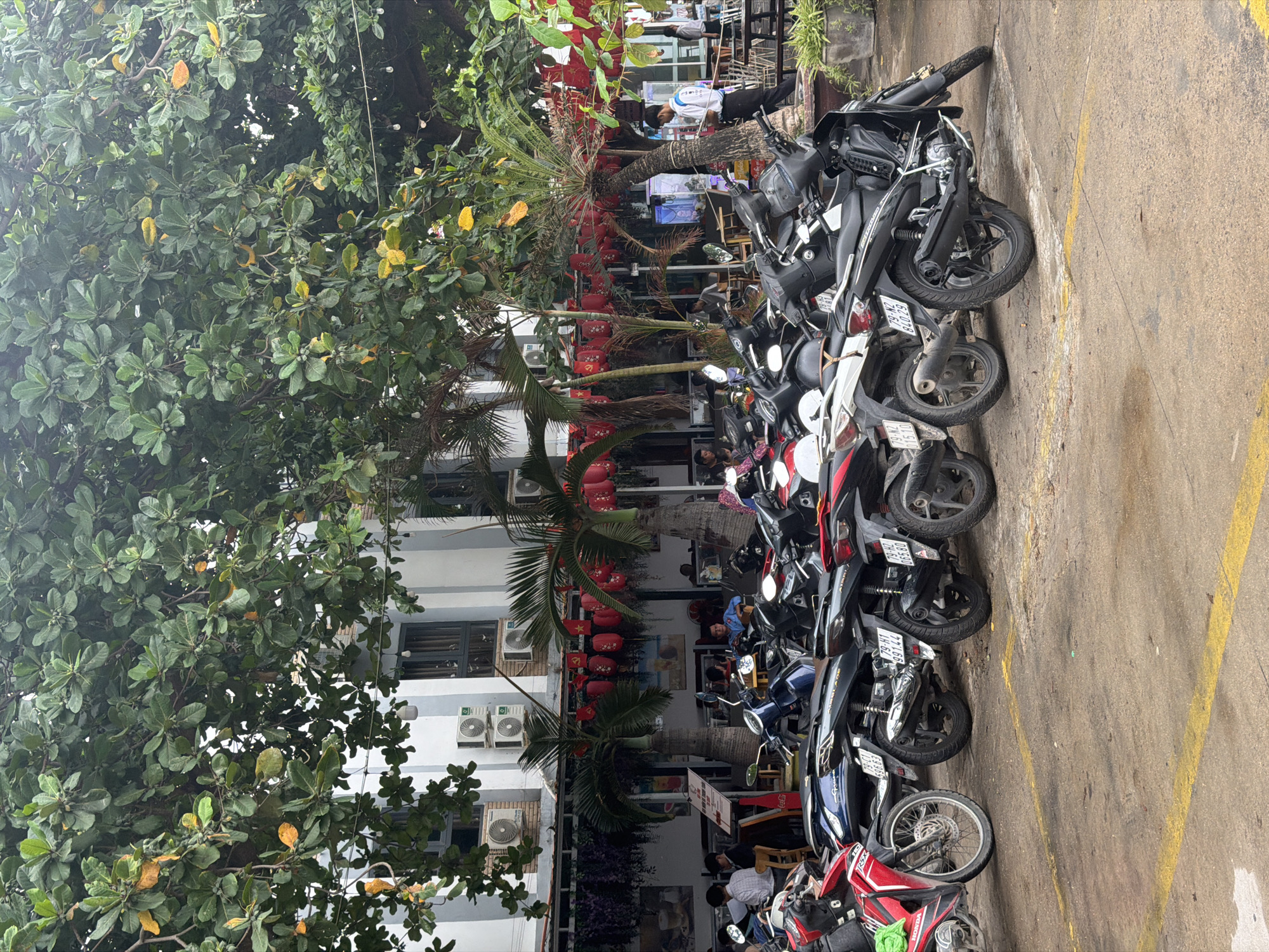 The image displays a lively street scene in Nha Trang Ward, Vietnam, characterized by a row of parked motorbikes, lush greenery, and local establishments. The scene is viewed as if oriented horizontally, with the street on the left and buildings on the right.
On the left, a dense canopy of large trees with broad green leaves, some showing yellowing foliage, dominates the foreground and extends towards the background. Palm trees are also visible, interspersed among the larger trees and near the buildings.
To the right, a long line of motorbikes, predominantly scooters in black, white, blue, and red, are neatly parked along a paved area with yellow lines, suggesting a parking zone or roadside. The ground appears somewhat damp.
Behind the motorbikes are multi-story white buildings, likely housing shops or restaurants on their ground floors, indicated by visible windows and air conditioning units. Red lanterns and red flags adorned with yellow stars, symbolic of Vietnam, are strung decoratively between trees and along the building facades, creating a festive atmosphere.
Several people are visible in the background, mostly around the establishments. Some appear to be seated at outdoor tables, potentially dining or socializing, while others are standing or moving about, contributing to a sense of daily street activity. One individual in a white shirt can be seen more clearly near a counter.
The lighting suggests it is daytime, possibly overcast, given the diffused light and lack of harsh shadows. Visible text includes license plates on some motorbikes, such as "79-N2 820.29", "79-H1 997.44", and "79-N2 1570". A "HONDA" brand logo is visible on a red motorbike in the foreground, and a "Coca-Cola" logo can be faintly seen on a sign near the establishments.