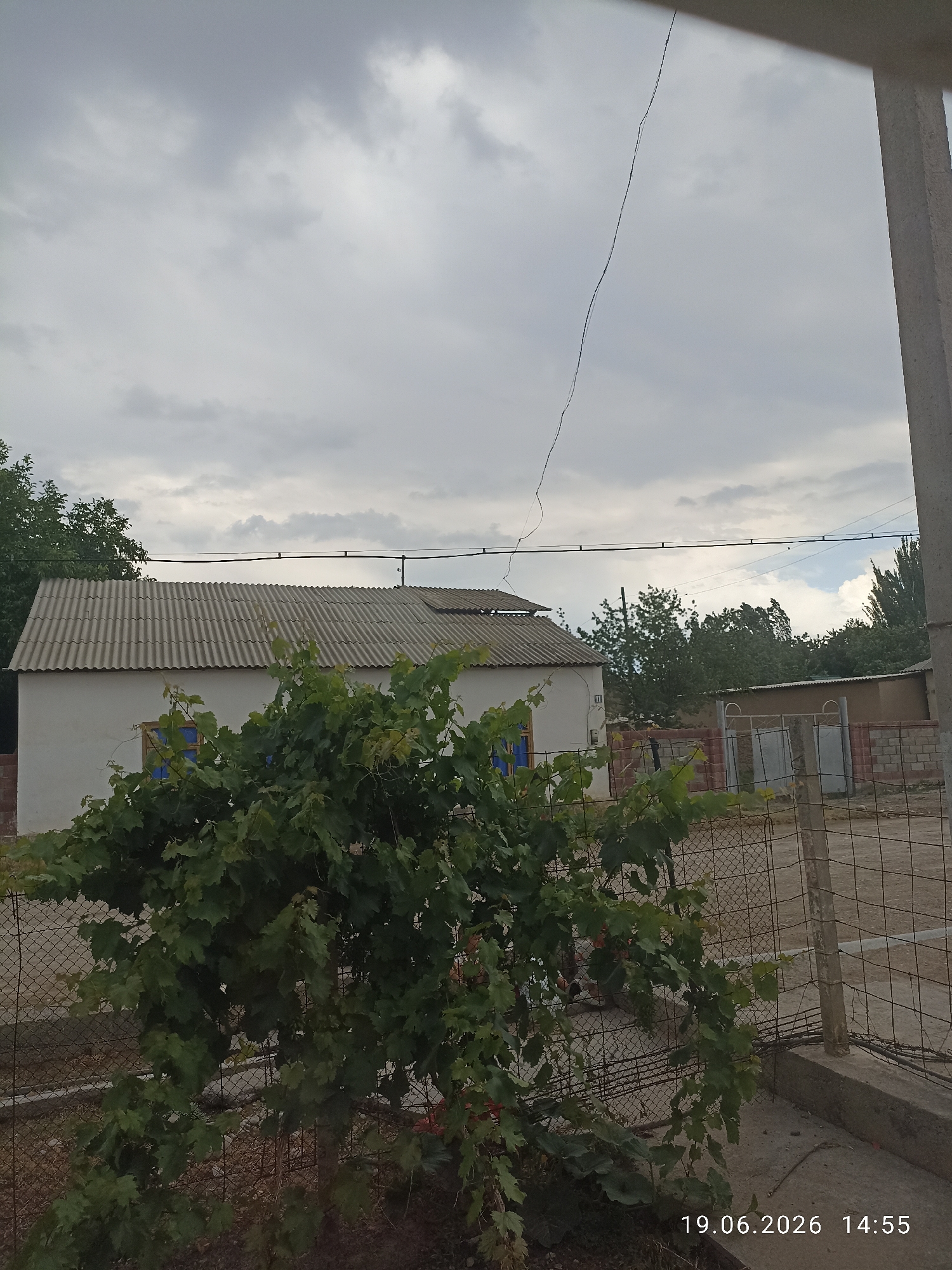 The image depicts an outdoor scene on a cloudy day. In the foreground, a bushy green plant, likely a vine, is partially obscuring a chain-link fence. Behind the plant and fence, a white, single-story building with a corrugated roof is visible. The building has at least two windows with blue coverings. Further in the background, there are trees and another smaller building with a mud-brick wall and a metal gate. A concrete pillar and a wire run vertically and diagonally across the frame, respectively. The bottom right corner of the image displays a timestamp: "19.06.2026 14:55". The setting appears to be a residential area, potentially a backyard or a street, in Batken City, Kyrgyzstan, given the architectural style and vegetation.