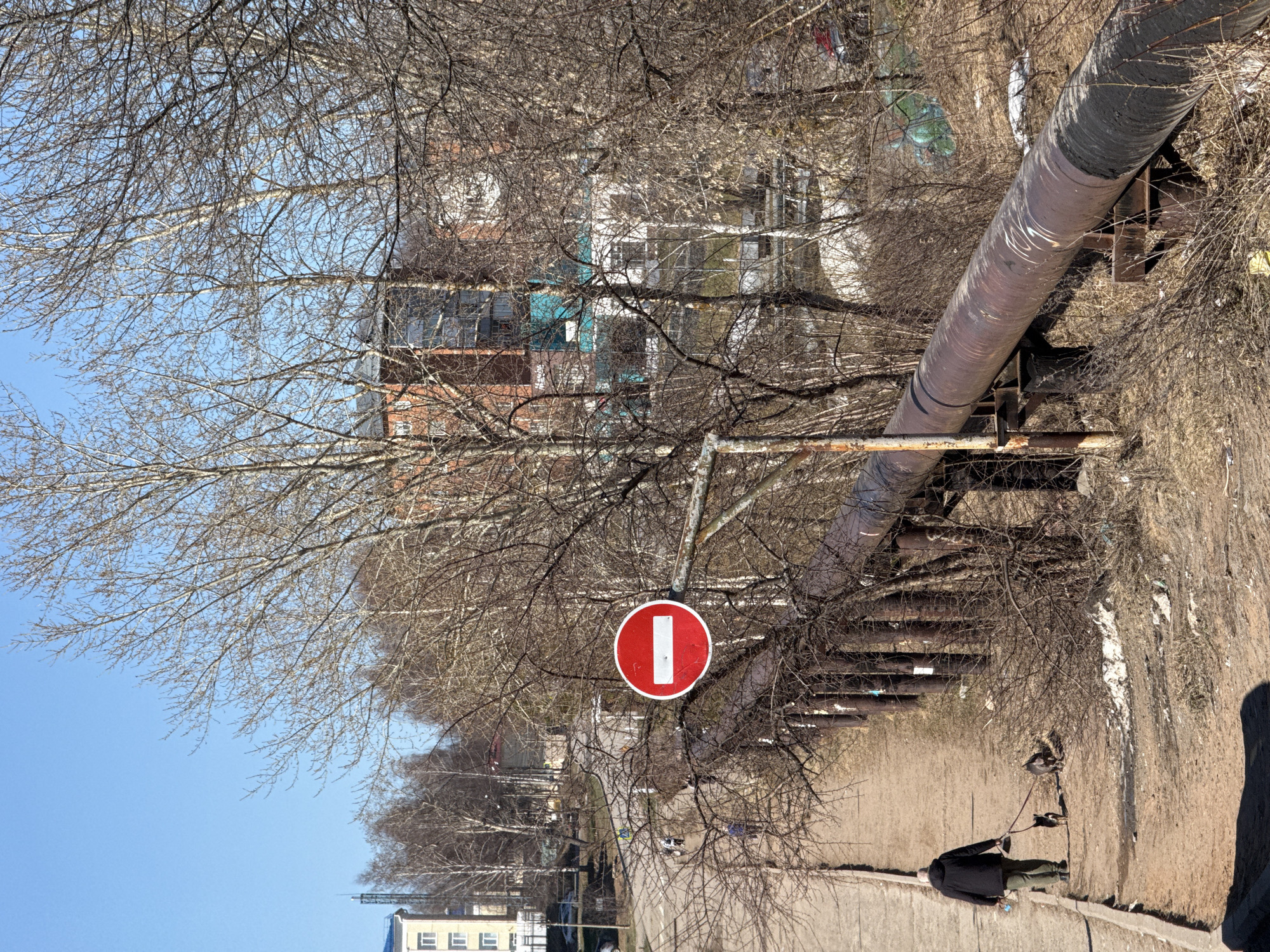 A person walking two dogs on a leash in Votkinsk, Russia is the primary focus of this rotated outdoor shot. The pedestrian is dressed in a dark coat and lighter-colored pants. Above them, a large industrial pipe is supported by rusted metal stands. A red and white "No Entry" road sign is positioned near the pipe. Bare trees fill much of the frame, partially obscuring buildings in the background. The environment includes dry grassy areas and a concrete embankment. The sky is blue.