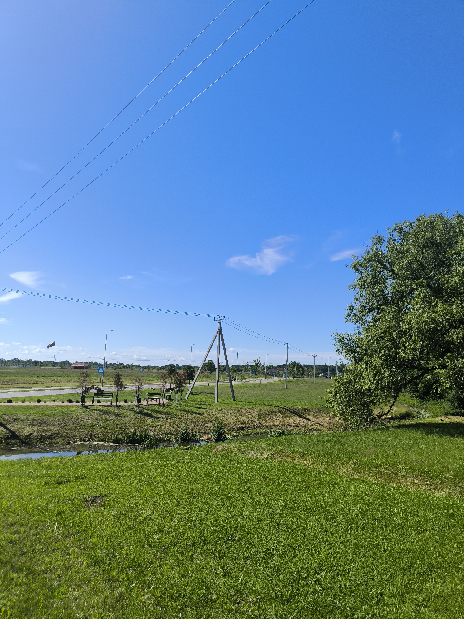 The image depicts a sunny day scene in Laskino, Russia. A bright blue sky dominates the upper portion of the frame, with three parallel power lines stretching diagonally from the top left. In the foreground, a lush green lawn slopes gently downwards towards a narrow, reflective body of water. Beyond the water, a paved road runs horizontally across the middle ground, bordered by a grassy embankment and a line of young trees. Further in the distance, several streetlights and a flagpole with a flag are visible. To the right, a large, mature tree with dense green foliage arches over the scene. The overall environment appears to be a well-maintained public space, possibly a park or recreational area, with benches placed along the walkway. There are no people or animals clearly visible in the image.