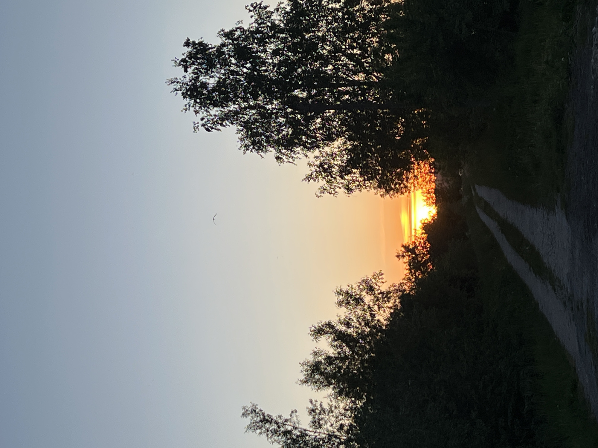 The image shows a landscape at sunset. Silhouetted trees frame a path that leads towards the setting sun. The sky transitions from light blue to orange as the sun dips below the horizon. The location is unknown.