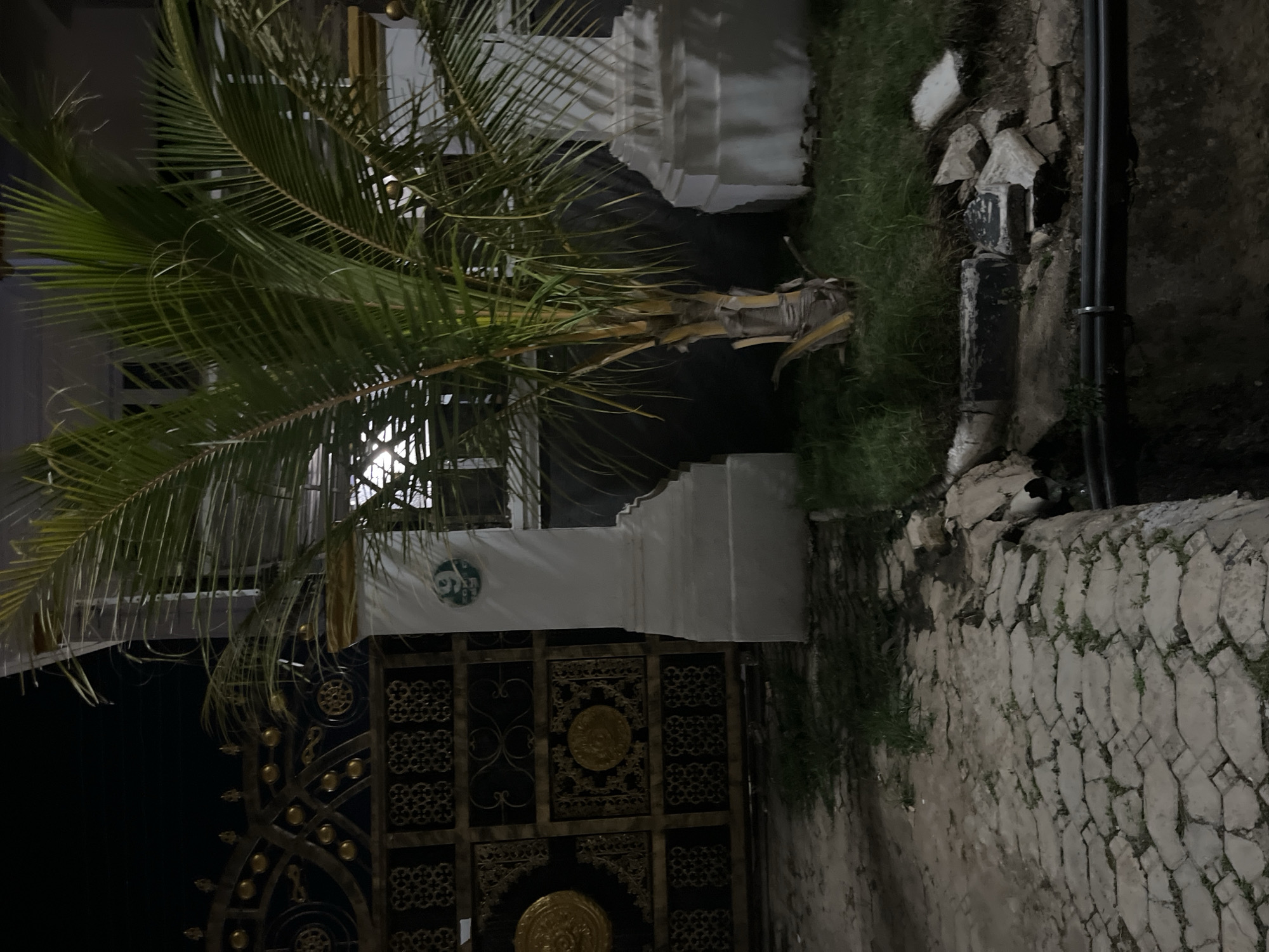 This is a nighttime photograph of a street scene in Abuja, Nigeria. The focal point is a young palm tree situated in front of a large, ornate black and gold gate. The gate features intricate scrollwork and decorative medallions. To the right of the gate, a white pillar stands, adorned with a circular sign displaying the number "9" in a green circular emblem. The foreground consists of a cobblestone pathway that appears somewhat uneven and is bordered by patches of grass and some scattered debris, including broken concrete pieces and exposed pipes. The overall impression is one of an entrance to a property, possibly a residential or commercial building, with a mix of decorative elements and signs of wear or ongoing construction.