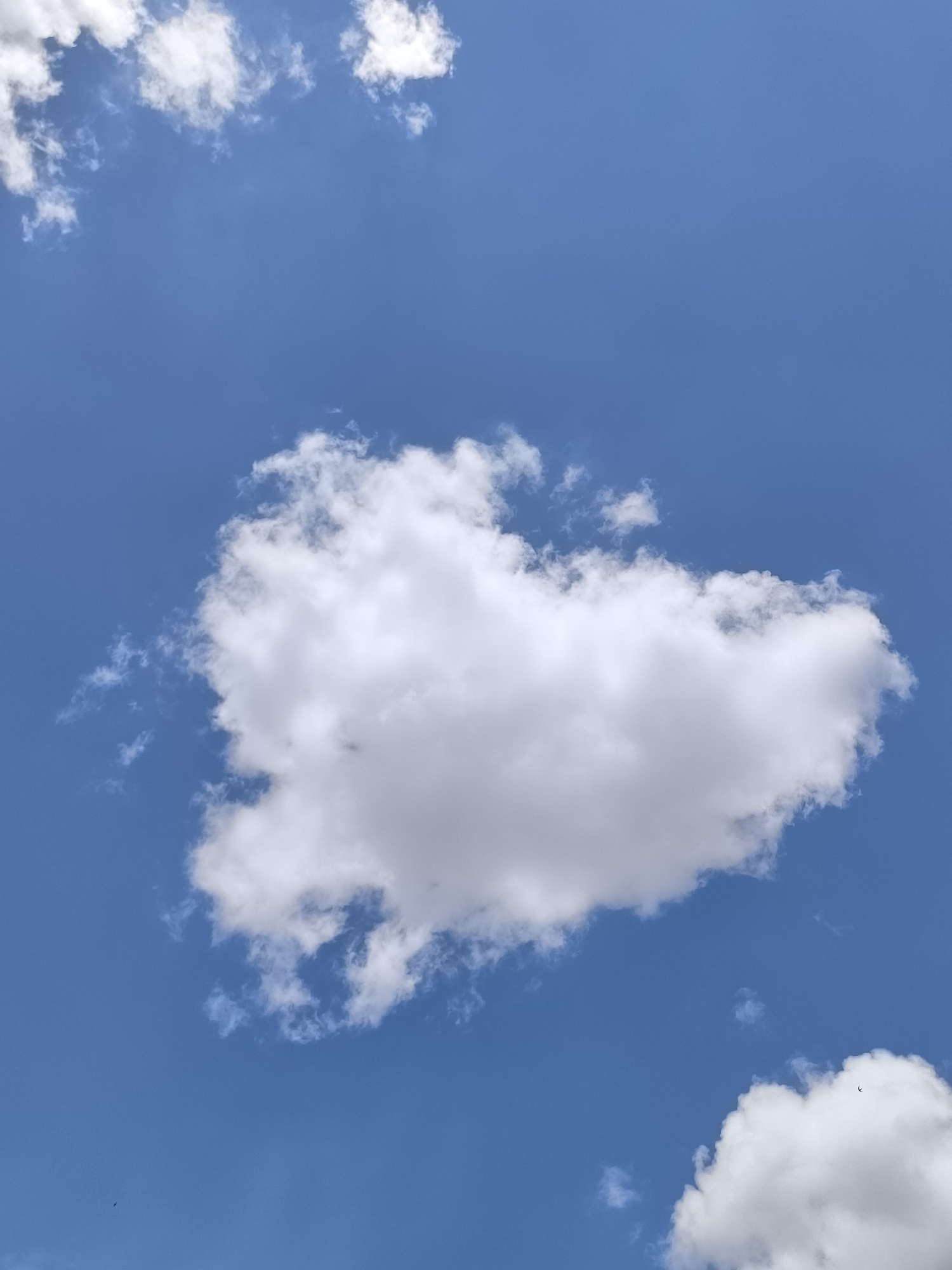 This is a vertical, eye-level shot of a bright blue sky filled with fluffy white clouds. The dominant cloud is large and cumulus, situated in the center of the frame, with its edges appearing wispy and diffused. Smaller clouds are scattered throughout the image, some appearing thin and streaky, while others are more compact and puffy. The overall impression is of a clear day with fair weather, likely sometime during daylight hours due to the brightness. There is no visible text or any indication of human presence. The scene evokes a sense of openness and tranquility.