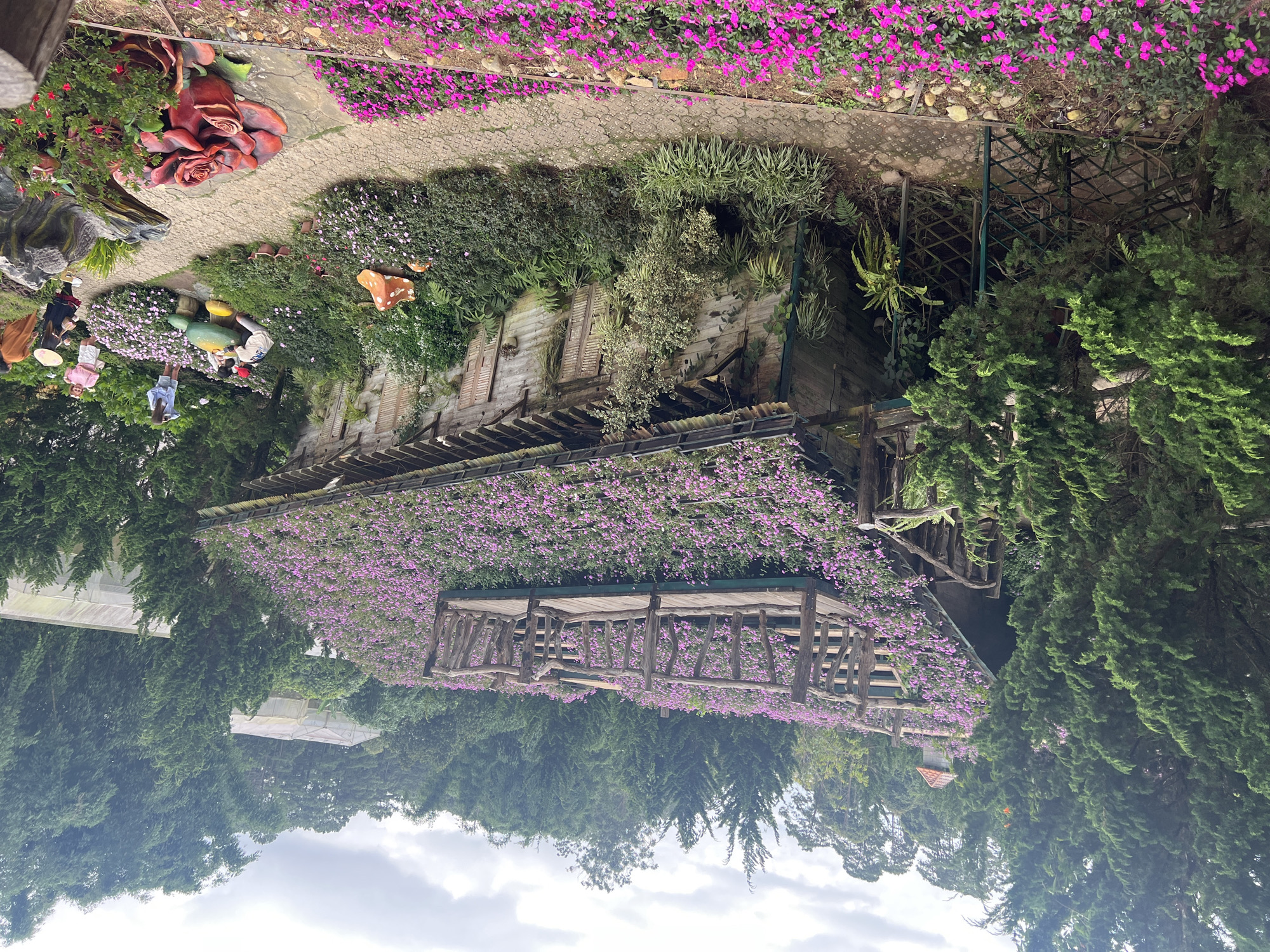 The image captures a charming, rustic wooden house with a roof entirely covered in vibrant purple flowers, located in the city of Da Lat, Vietnam. The house, appearing aged with weathered wood, has a distinctive wooden deck or balcony on its roof, also adorned with flowers and a rustic wooden railing. Surrounding the house is lush greenery, including tall pine trees on the left and a variety of other plants and flowers in shades of purple and pink. In the foreground, a paved pathway winds through gardens filled with more purple flowers and decorative elements like large red roses sculptures and mushroom-shaped ornaments. Several people are visible in the scene, interacting with the garden and its features. One group is gathered around a large mushroom ornament, while others are standing or walking along the path. In the background, greenhouses and more trees suggest the property is situated in a garden or park-like setting within Da Lat. The sky is overcast, contributing to a soft, diffused light.