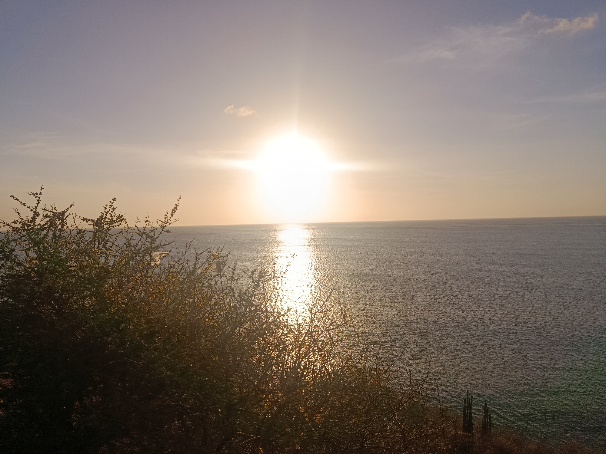The image captures a coastal scene at sunset in Juan Griego, Venezuela. The sun, a bright, spherical orb, dominates the center of the frame, reflecting intensely on the calm ocean surface, creating a shimmering path of light. The sky has a soft, gradient tone, transitioning from a lighter hue near the sun to a slightly darker shade towards the top. In the foreground, a bush occupies the left side of the frame. In the lower right, there is a patch of dry earth, with a small cluster of cactus.