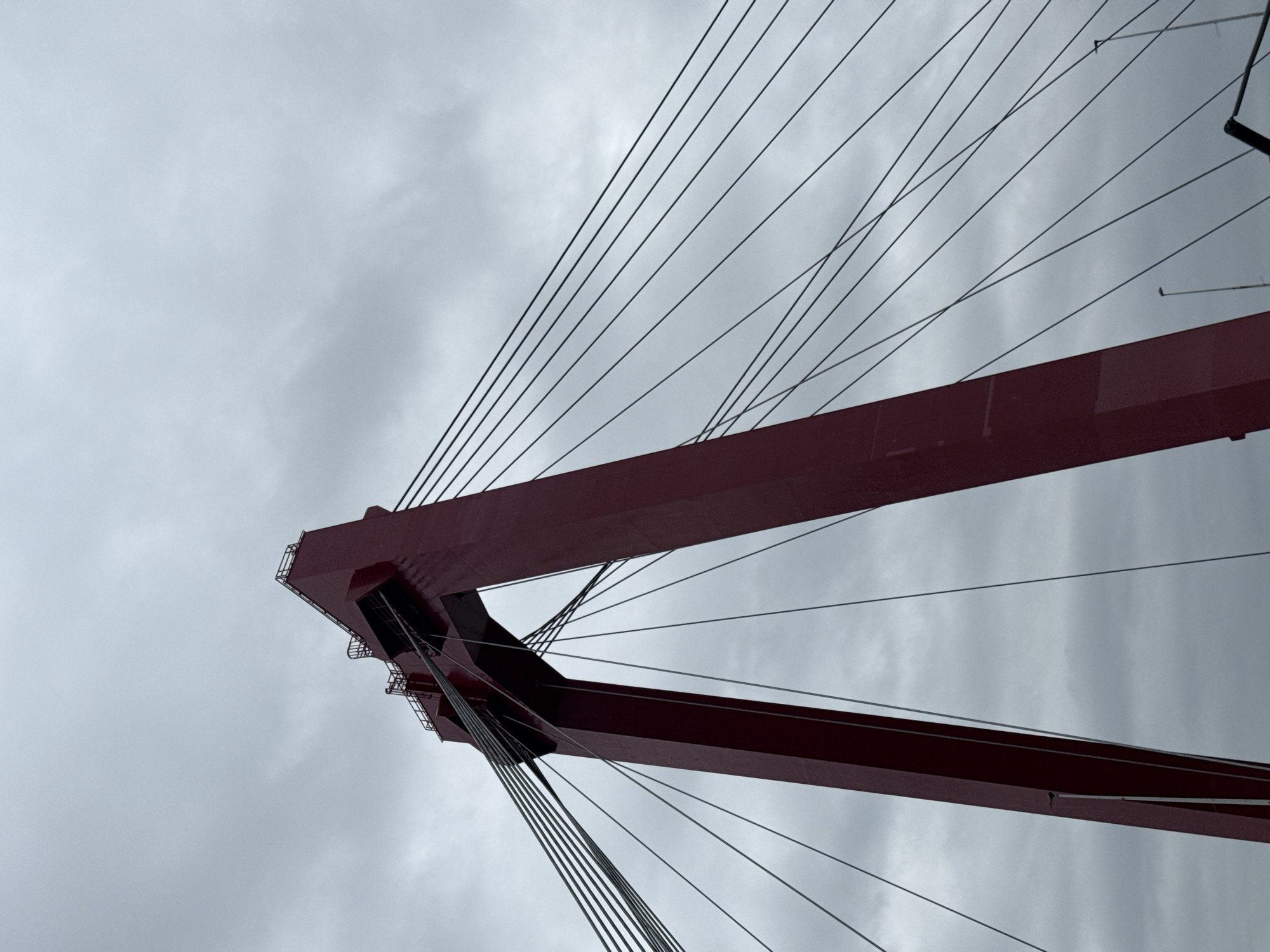 The image captures a low-angle, full-frame shot of the iconic red pylons and cable-stayed structure of the Erasmus Bridge in Rotterdam, Netherlands. The overcast sky provides a muted, monochromatic backdrop, emphasizing the bold red of the bridge's architecture. Numerous dark cables fan out from the pylons, creating a dynamic visual pattern against the sky. The bridge's structural elements, including railings and the weathered texture of the paint, are visible. The perspective suggests the viewer is positioned directly beneath or adjacent to the bridge, looking upwards. There are no people or vehicles prominently featured in the image, allowing the focus to remain entirely on the engineering marvel of the bridge itself. Streetlights and the tops of what appear to be other street infrastructure are visible at the very bottom edge of the frame, suggesting an urban setting.