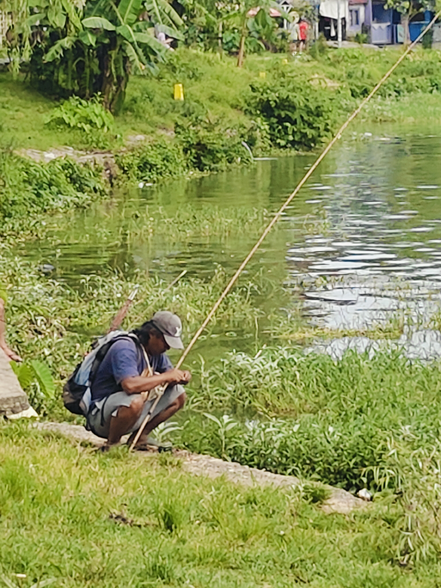 A man is fishing by a body of water. He is crouching on a grassy bank, holding a fishing rod. He is wearing a blue t-shirt, grey shorts, and a baseball cap. He has a backpack on. The water is green and reflects the sunlight. There is lush green vegetation on the bank and in the background. In the far background, there are some buildings and trees. The scene appears to be a rural or semi-rural area. The image does not provide any specific details to place it in Pokhara, Nepal.