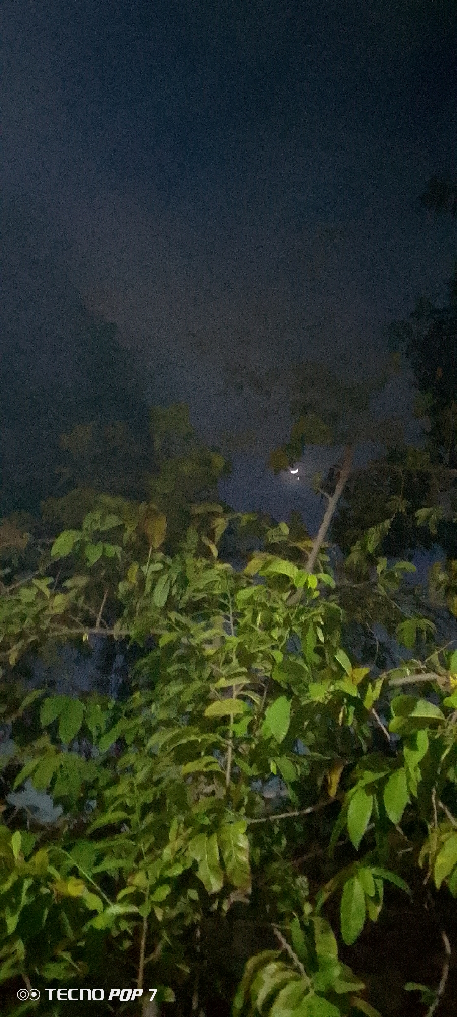 An outdoor, vertical, nighttime shot captures a crescent moon visible in the dark sky, positioned above the canopy of lush green trees and branches. The leaves are predominantly green with some yellowing, suggesting a natural, outdoor setting. The overall lighting is dim, indicative of nighttime, with a faint illumination on some of the foliage. The bottom left corner of the image displays a white logo with text, reading "TECNO POP 7". The location is specified as Altagracia, Venezuela.