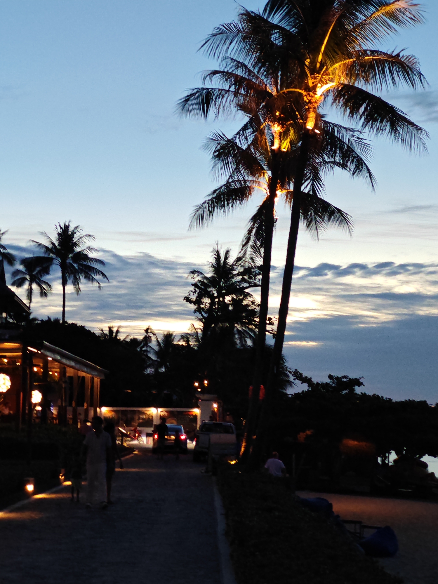 The image depicts an outdoor scene at dusk, likely in Baan Bo Phut, Thailand, characterized by palm trees silhouetted against a twilight sky. The sky is a gradient of pale blue at the top to a lighter, hazy horizon where the sun has recently set, with wispy clouds. Several palm trees are prominent, with one in the foreground being illuminated from within by warm yellow lights, giving it an ethereal glow.
To the left of the image, a building with a wooden structure and a covered outdoor seating area is visible, adorned with round, illuminated decorations. Lights are also present along a paved walkway that recedes into the distance. Several people are walking along this path. Two individuals, one taller and one shorter, are walking away from the camera, with the taller person wearing a light-colored garment. Further down the path, a white vehicle and another dark-colored vehicle are present.
The foreground is a dark, paved area, possibly a pathway or road, with soft, warm-toned lights illuminating the edges. On the right side of the image, there is a dark, tree-lined area, with some beanbag-like seating visible in the lower right corner. The overall atmosphere is serene and inviting, suggesting a beachside dining or leisure area.