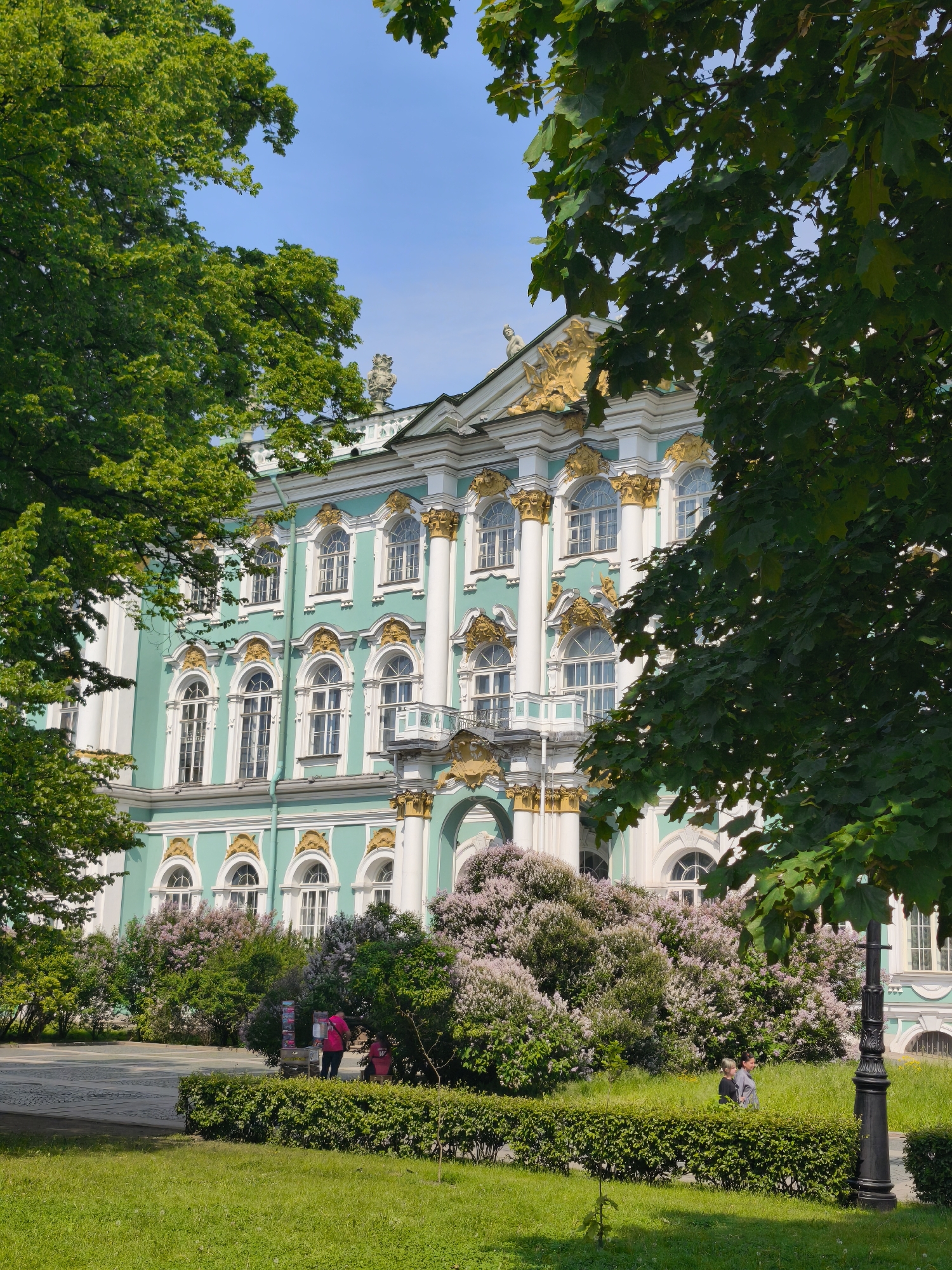 The image depicts the exterior of a grand, ornate building with a pale turquoise facade, white trim, and golden decorative elements, characteristic of Baroque architecture. The building is adorned with numerous arched windows and classical columns. In front of the building, there is a vibrant display of blooming lilac bushes, adding a touch of soft purple to the scene. Lush green trees frame the building and the lilac bushes, with their leaves creating dappled shadows on the facade and the surrounding grounds.
In the foreground, a neatly manicured green lawn stretches across the bottom of the frame. A low, dark green hedge runs parallel to the lawn, separating it from a paved walkway. Several people are visible in the scene. Towards the left, near a small kiosk or cart, two individuals in bright clothing are standing, possibly interacting with the vendor or looking at items. Further to the right, two women are walking on the grass. In the background, to the far right, a lone figure is seated on a bench. A classic black lamppost stands prominently on the right side of the image. The sky above is a clear, bright blue.
This scene is the Winter Palace, located on Palace Square in Saint Petersburg, Russia. The building is an iconic landmark and the former residence of Russian monarchs. The blooming lilacs suggest a spring or early summer setting.
