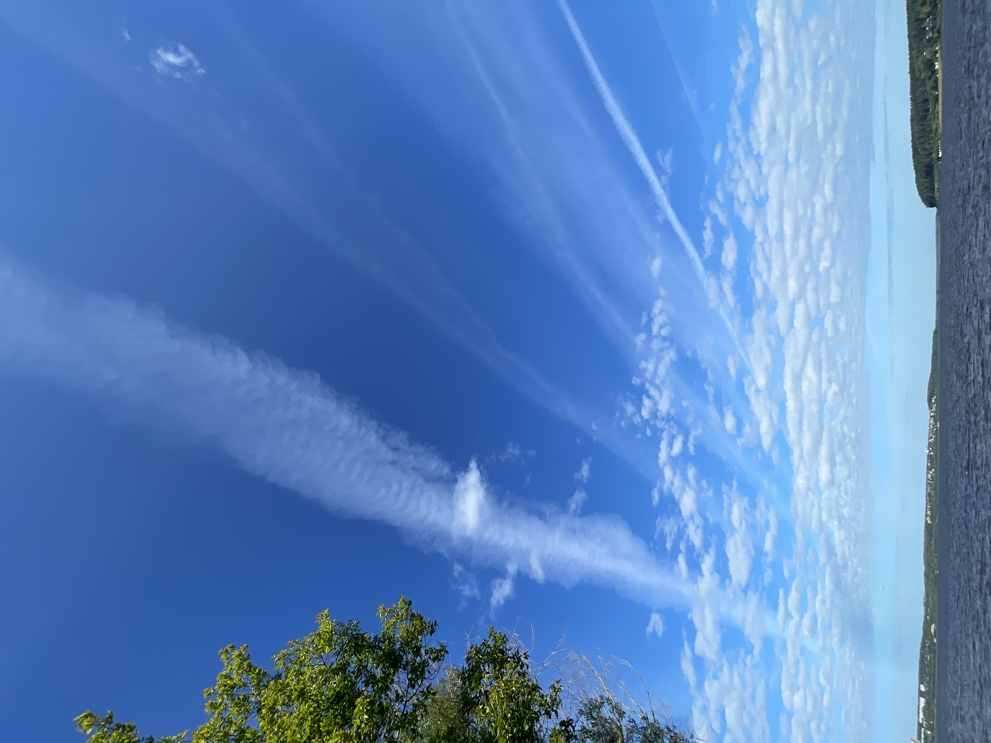 The image depicts a body of water, likely a reservoir, with a distant shoreline featuring a line of trees and buildings. In the foreground, the water appears dark and choppy, suggesting it is a windy day. The sky above is a vivid blue, with several distinct white cloud formations. One prominent cloud trail stretches diagonally across the upper portion of the frame, appearing wispy and elongated. Another, thicker cloud formation is visible lower in the sky, also elongated and somewhat textured. Smaller, cumulus clouds are scattered across the lower part of the sky. On the left side of the image, the branches of a leafy green tree extend into the frame.
The scene is consistent with a view of the Izhevsk Reservoir in Izhevsk, Russia. The combination of the broad expanse of water, the forested shoreline with visible settlements, and the characteristic clouds is typical of this location. There are no people or animals visible in the image. The overall impression is one of a natural landscape under a bright, partly cloudy sky.