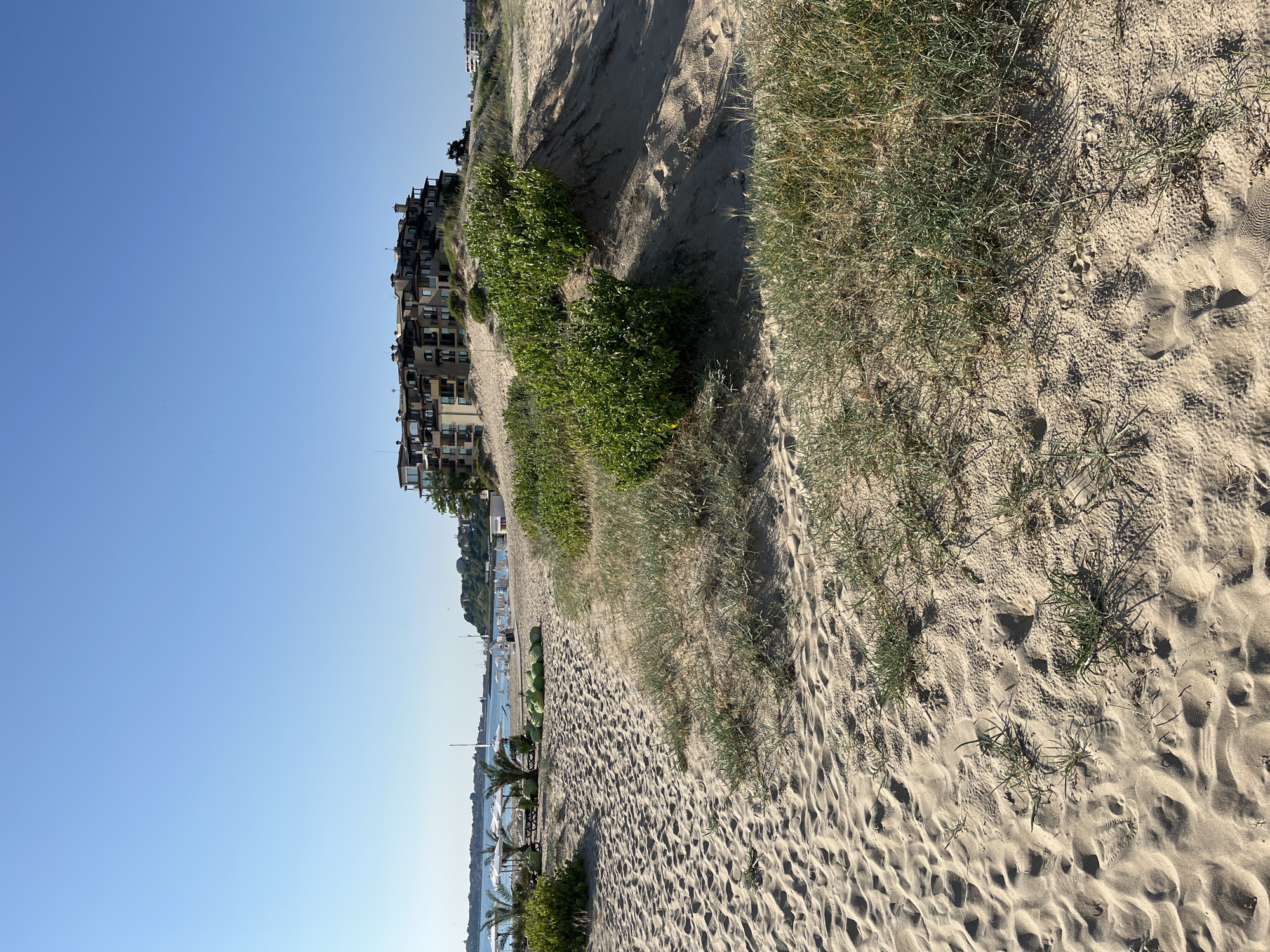 The image depicts a sandy beach in Nesebar, Bulgaria, with a multi-story building situated on a dune in the background. The foreground is dominated by sand dunes with sparse vegetation, including grasses and some bushy green plants. Footprints are visible in the sand. In the middle ground, a section of the beach is set up with white umbrellas, lounge chairs, and bright green beanbag chairs. Palm trees are also present in this area. Beyond the beach, the calm sea is visible with a few sailboats. The sky is clear and blue. The building in the background appears to be a hotel or residential complex with a light-colored facade and dark balconies. The overall scene suggests a sunny day at a coastal resort.