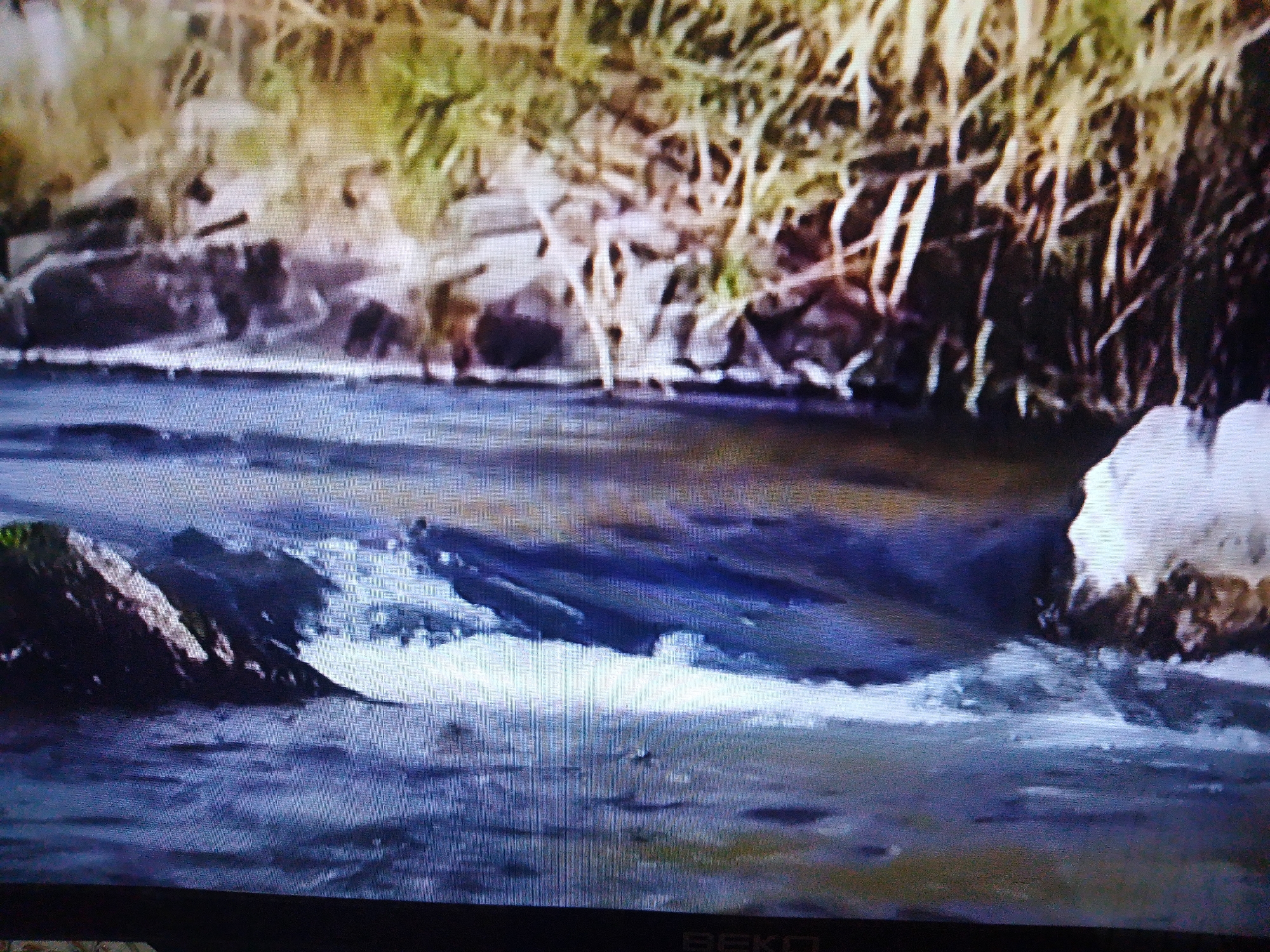 The image depicts a close-up view of a river flowing through a rocky bank with dry grass vegetation. The water is a mix of blue and dark hues, with some areas appearing white and foamy where it flows over rocks. The riverbank is covered with light-colored rocks and dry, yellowish-brown grass. The overall impression is a natural outdoor scene, possibly a mountain stream or a river in a rural area. There is no indication of the city of Dushanbe, Tajikistan, or any specific urban features. The image quality is low, making it difficult to discern finer details.