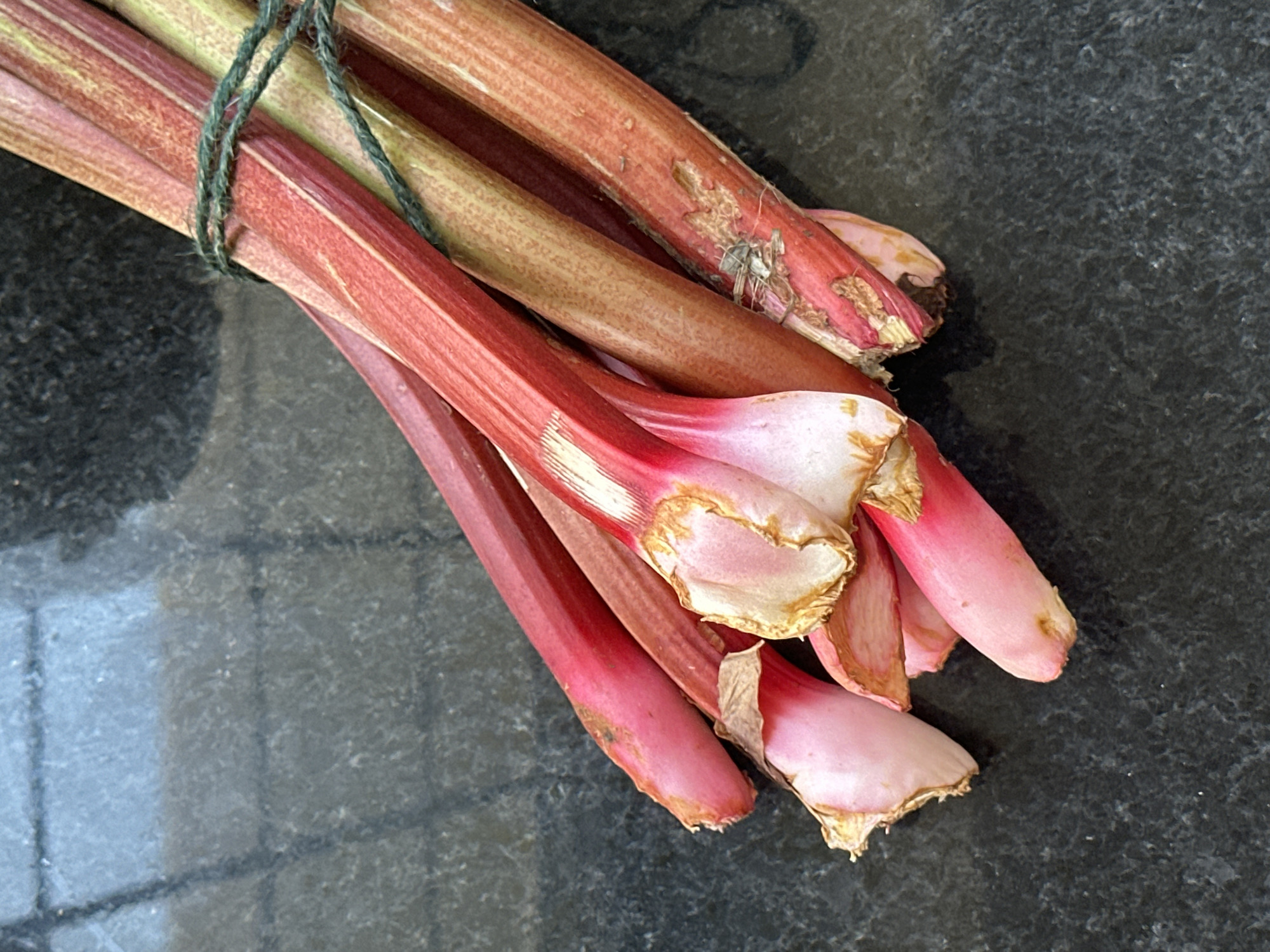 The image captures a close-up, slightly overhead view of a bundle of fresh rhubarb stalks, tied together with green twine, resting on a dark, speckled surface. The stalks display a rich palette of colors, transitioning from deep reddish-pink and crimson at their thicker ends to lighter pinks and even some yellowish-green tones towards the narrower parts. Their surfaces show natural striations and a fibrous texture, indicative of freshly harvested produce.
The ends of the rhubarb stalks, particularly those at the bottom of the bundle, feature raw cuts and some dried, papery husks, suggesting recent harvesting or preparation. A simple, slightly frayed green twine is wrapped around the mid-section of the bunch, holding the stalks securely together.
The background is a dark, possibly granite or slate, countertop or table. Its surface is finely speckled and has a subtle sheen that reflects the soft, diffused lighting, which highlights the rhubarb without harsh shadows. No specific activity is taking place, presenting the image as a still life. There is no visible text within the frame. While the location context is given as Wealden, United Kingdom, the image itself does not contain specific visual cues to this location. The scene conveys a sense of natural freshness and readiness for culinary use.
