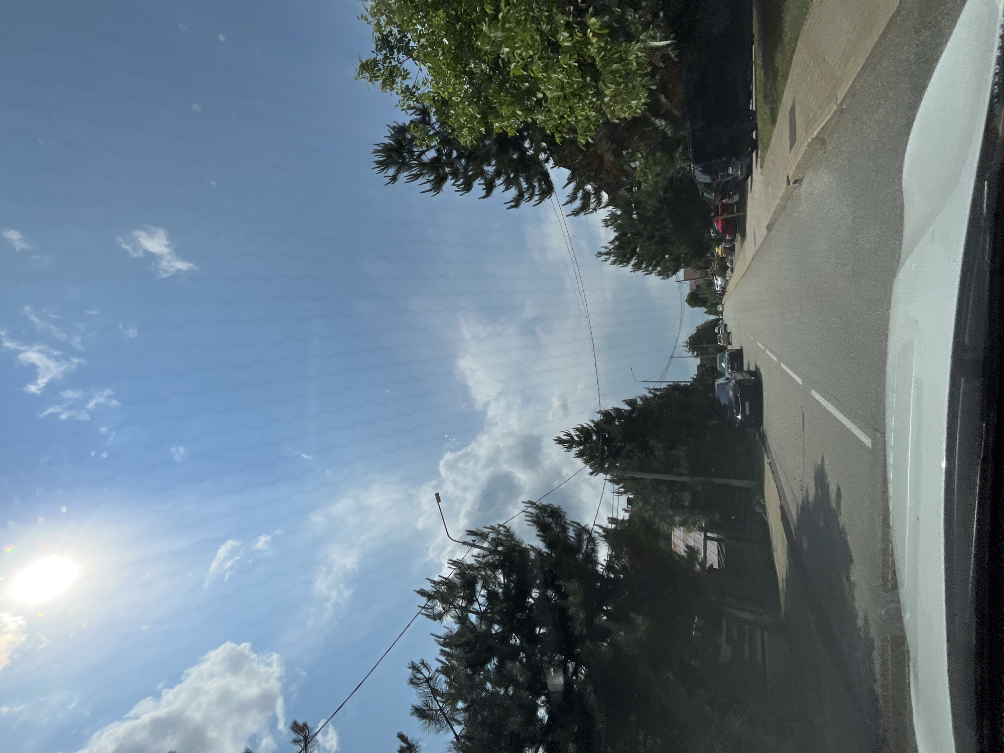 The image depicts a street scene in Krasnaya Polyana, Russia, under a bright, sunny sky with scattered clouds. The perspective is from inside a vehicle, looking forward down a paved road. Tall pine trees line both sides of the street, with dense green foliage and some exposed branches. Various cars are parked along the right side of the road and a few are driving on the road. A sidewalk is visible next to the parked cars. Overhead power lines stretch across the sky, supported by poles. The sun is high in the sky, casting bright light and some lens flare onto the image.