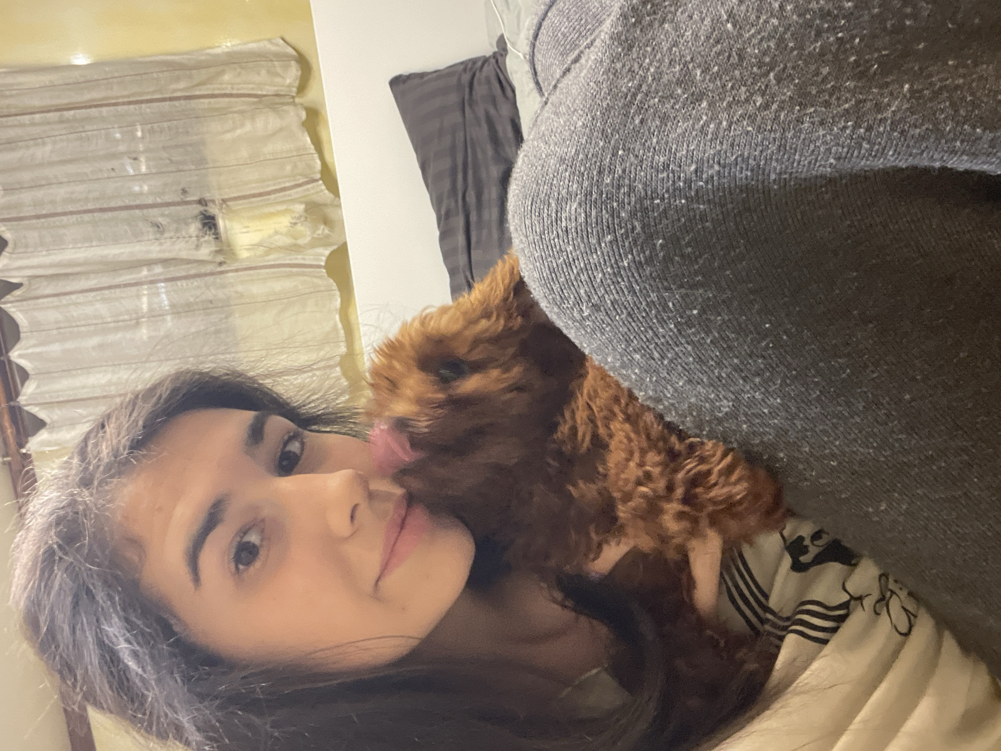 A light-skinned woman with dark hair is posing for a selfie with a brown poodle. The dog is licking her face. She is lying on a bed with a white and black patterned comforter. A gray, knit-like material is in the upper right corner of the image. In the background, there is a tan wall, curtains, and a gray pillow. There is no indication of Sofia, Bulgaria.