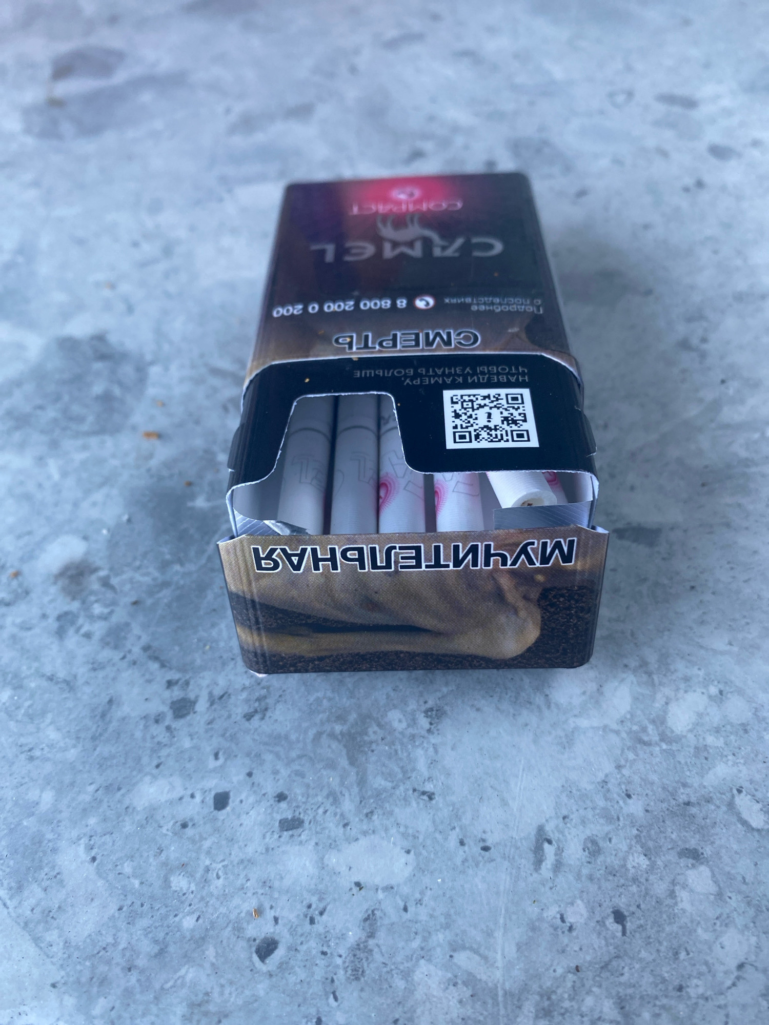 A partially opened pack of Camel cigarettes is centered in the frame, resting on a textured gray surface that resembles concrete or asphalt. The cigarette pack is black with prominent "CAMEL" branding in a stylized font. There are also Cyrillic characters visible on the pack, including "СМЕРТЬ" which translates to "death" and "МУЧИТЕЛЬНАЯ" which translates to "agonizing". A QR code is also present on the pack. Inside the opened lid, several white cigarettes with pink and black bands are visible. The overall impression is a close-up, low-angle shot of the cigarette pack. There are no people or animals present in the image. The setting does not provide any specific landmarks or clues to pinpoint its location within Novorossiysk, Russia.