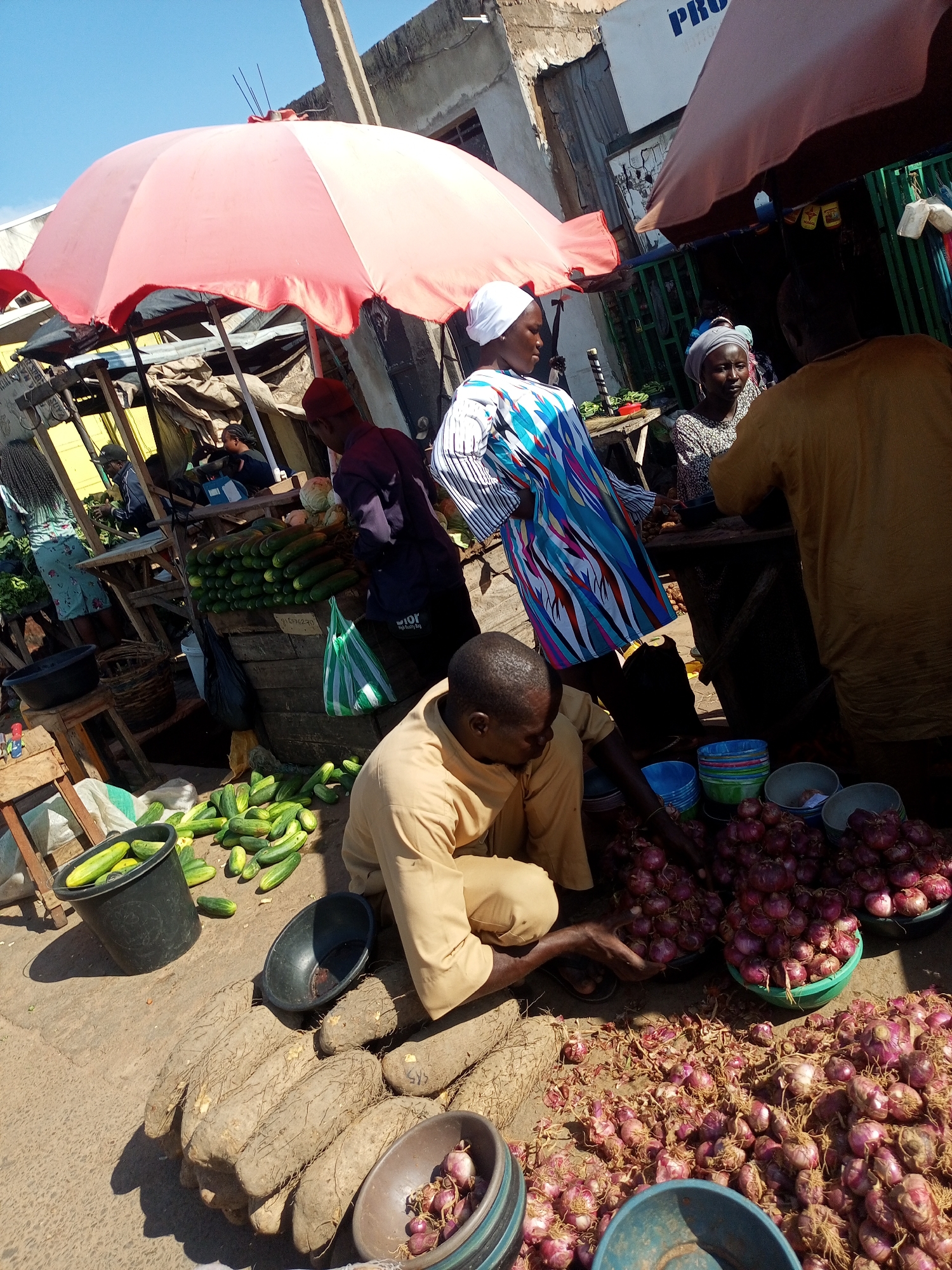 The image depicts a bustling outdoor market scene, likely in Tempure, Nigeria. The foreground is dominated by a large pile of yams and several bowls filled with red onions. A person, partially visible, wearing a light brown garment, is tending to the onions, reaching into a bowl. To the left, a black bucket contains cucumbers, with more cucumbers scattered on the ground.
In the mid-ground, a vendor in a dark purple shirt stands behind a table laden with neatly stacked cucumbers. A green and white striped bag hangs nearby. Another individual, wearing a white headscarf and a colorful, patterned dress, is looking away from the camera. Behind them, another person in a grey headscarf is visible.
The background reveals the typical market setting with wooden stalls, various goods, and more people. Two large umbrellas, one red and one pinkish-brown, provide shade. Structures of concrete and corrugated metal suggest a semi-urban environment. The sky above is clear blue. The overall atmosphere is one of commerce and daily activity in a Nigerian marketplace.