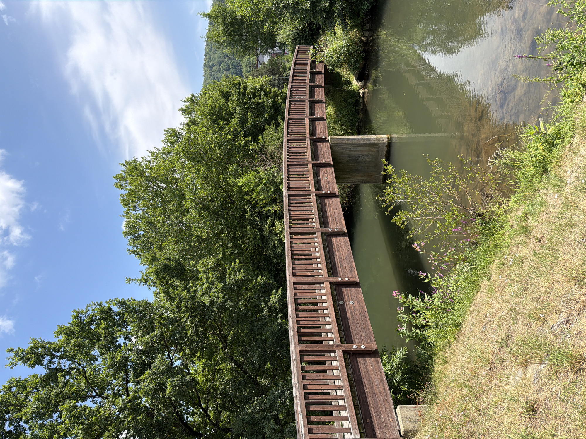 A wooden pedestrian bridge arches over a calm, shallow body of water. The bridge has a dark brown wooden deck and railing, supported by a single concrete pillar in the water and possibly abutments on the banks. The water reflects the surrounding lush greenery and blue sky with scattered white clouds. The banks of the water are lined with dry grass and various green plants, some with small purple flowers. Tall, dense trees dominate the background on either side, with a gently sloping, tree-covered hill visible in the distance on the right. The overall scene depicts a tranquil natural setting within or on the outskirts of the city of Ebermannstadt, Germany.