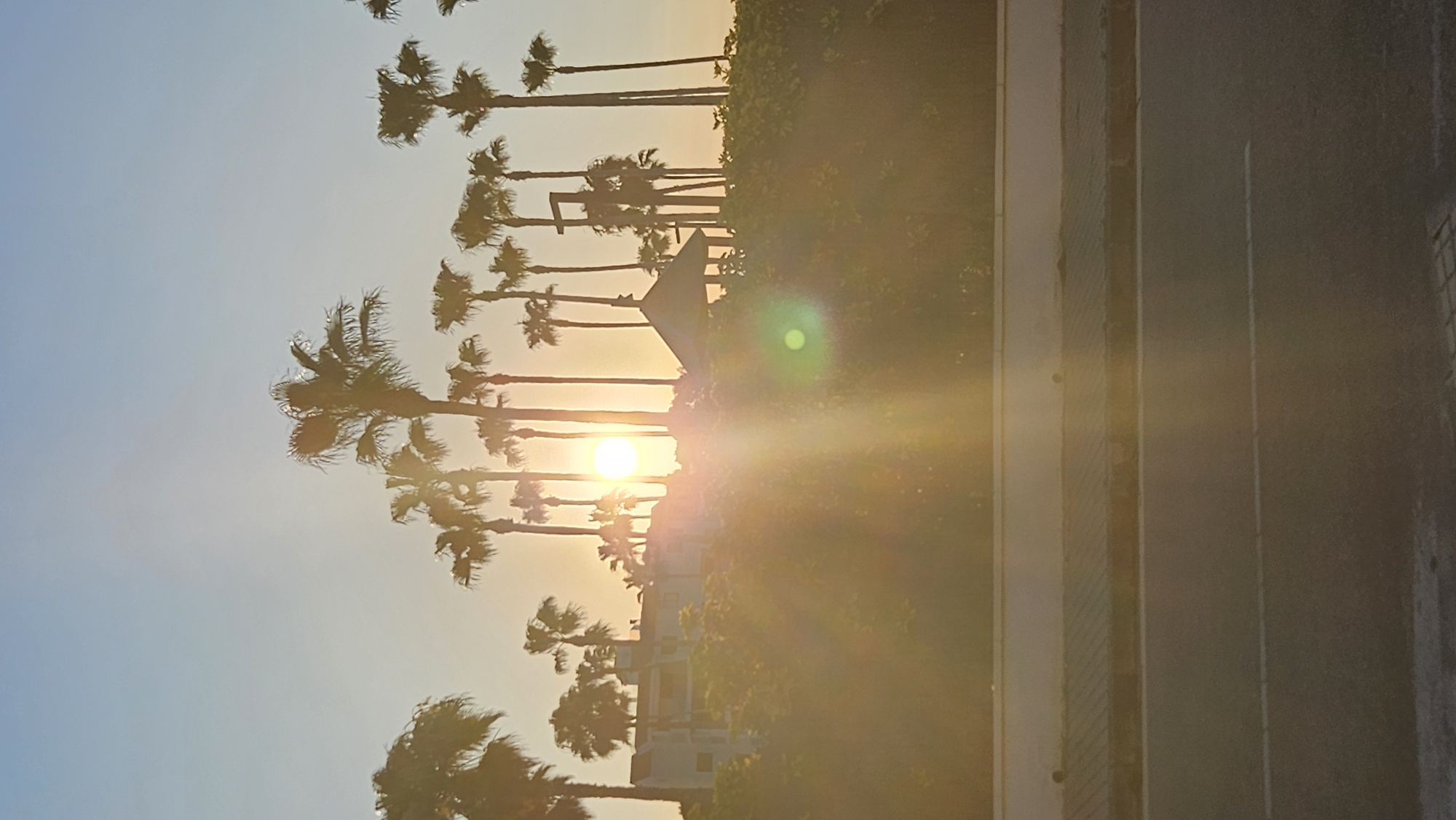 A vertical, medium shot captures a sunset over a coastal area in Deveses, Spain, with the sun low in the sky, casting a warm, golden light and lens flare across the scene. The foreground features a paved road with white lines, leading into a textured sidewalk and a low wall. Behind the wall is a dense hedge of green foliage, partially obscured by the intense sunlight. Silhouetted against the sky are numerous palm trees of varying heights, their fronds creating a textured backdrop. In the mid-ground, a white building with multiple balconies is visible, nestled amongst the trees. To the right of the building, a small, open-sided gazebo with a hexagonal roof stands amidst the vegetation. The sky is a clear, pale blue, transitioning to a soft yellow-orange hue near the horizon where the sun is setting. The overall impression is one of a tranquil, warm evening in a resort-like setting.